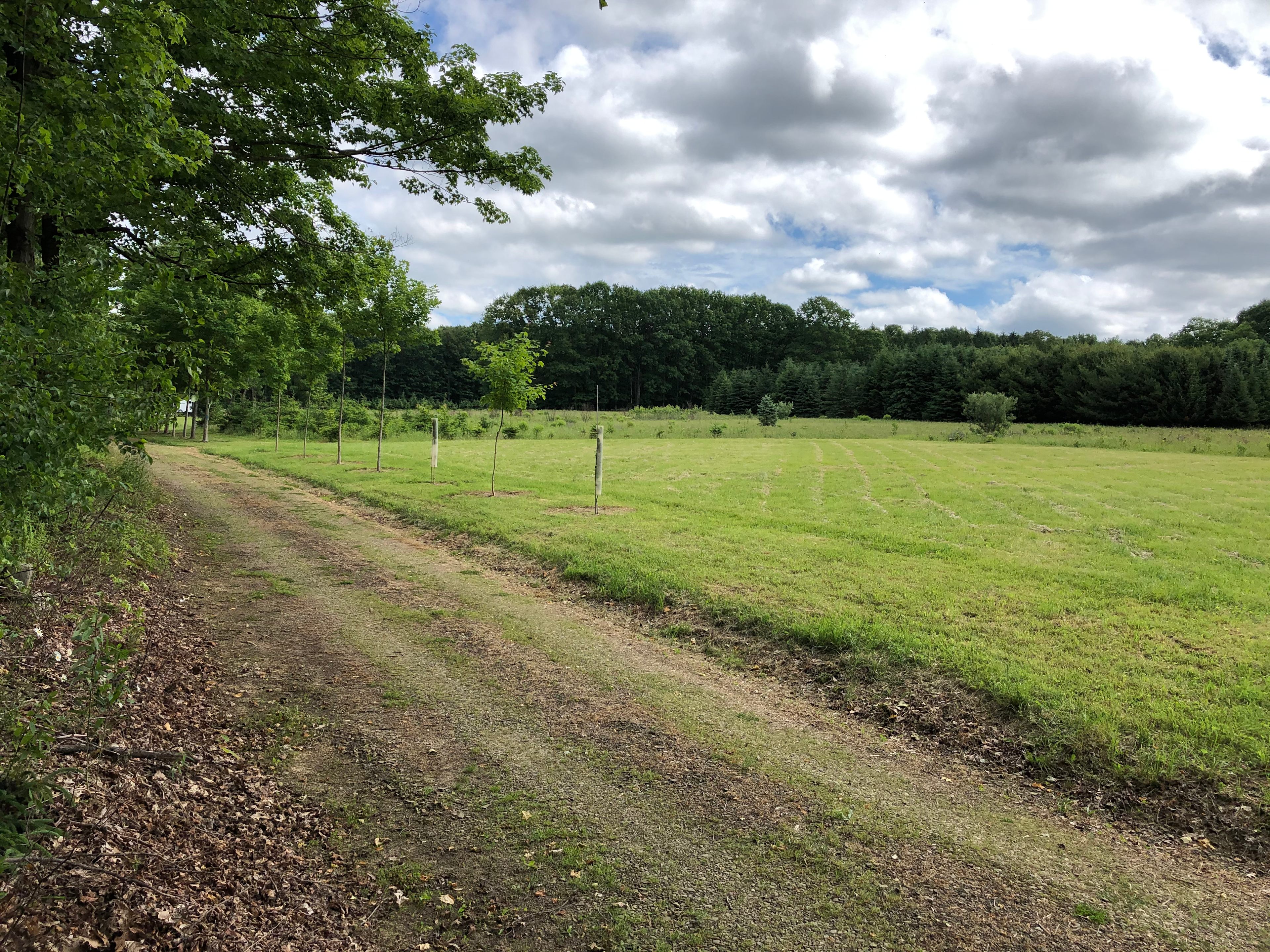 The entrance lane along the old fields