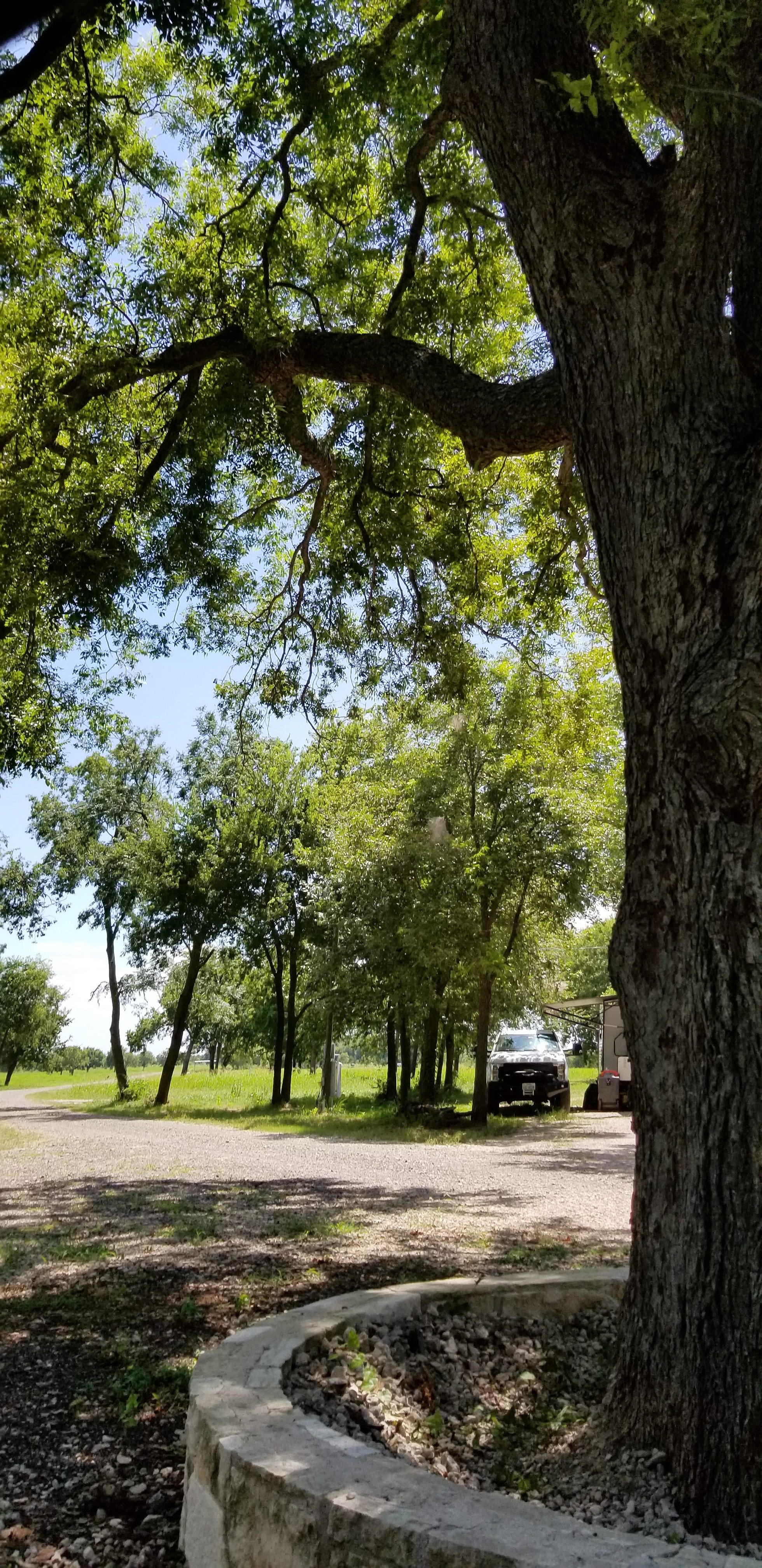 Lake Lavon