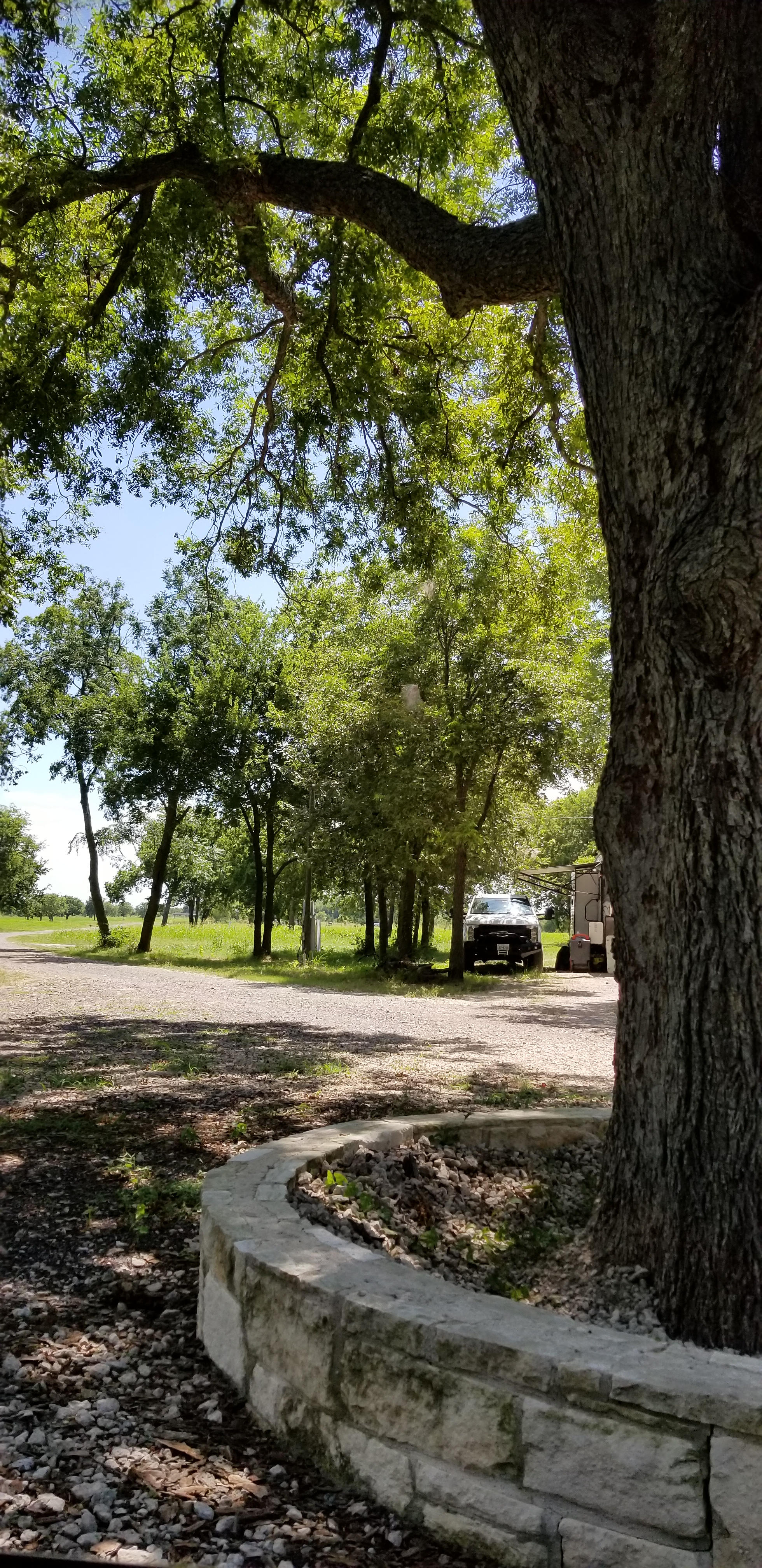 Lake Lavon
