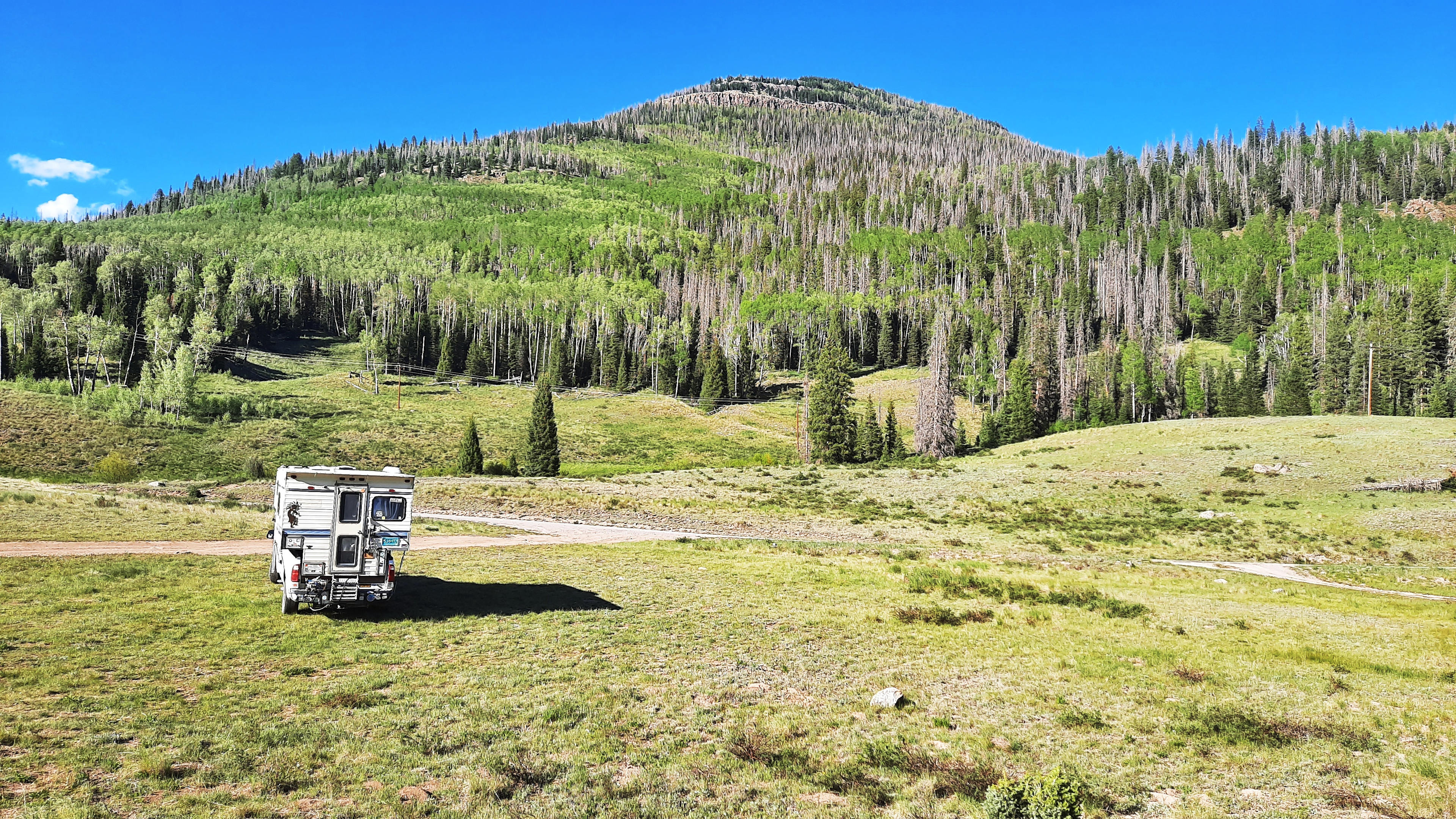 My campspot for the night. About a quarter mile from the ponds. 