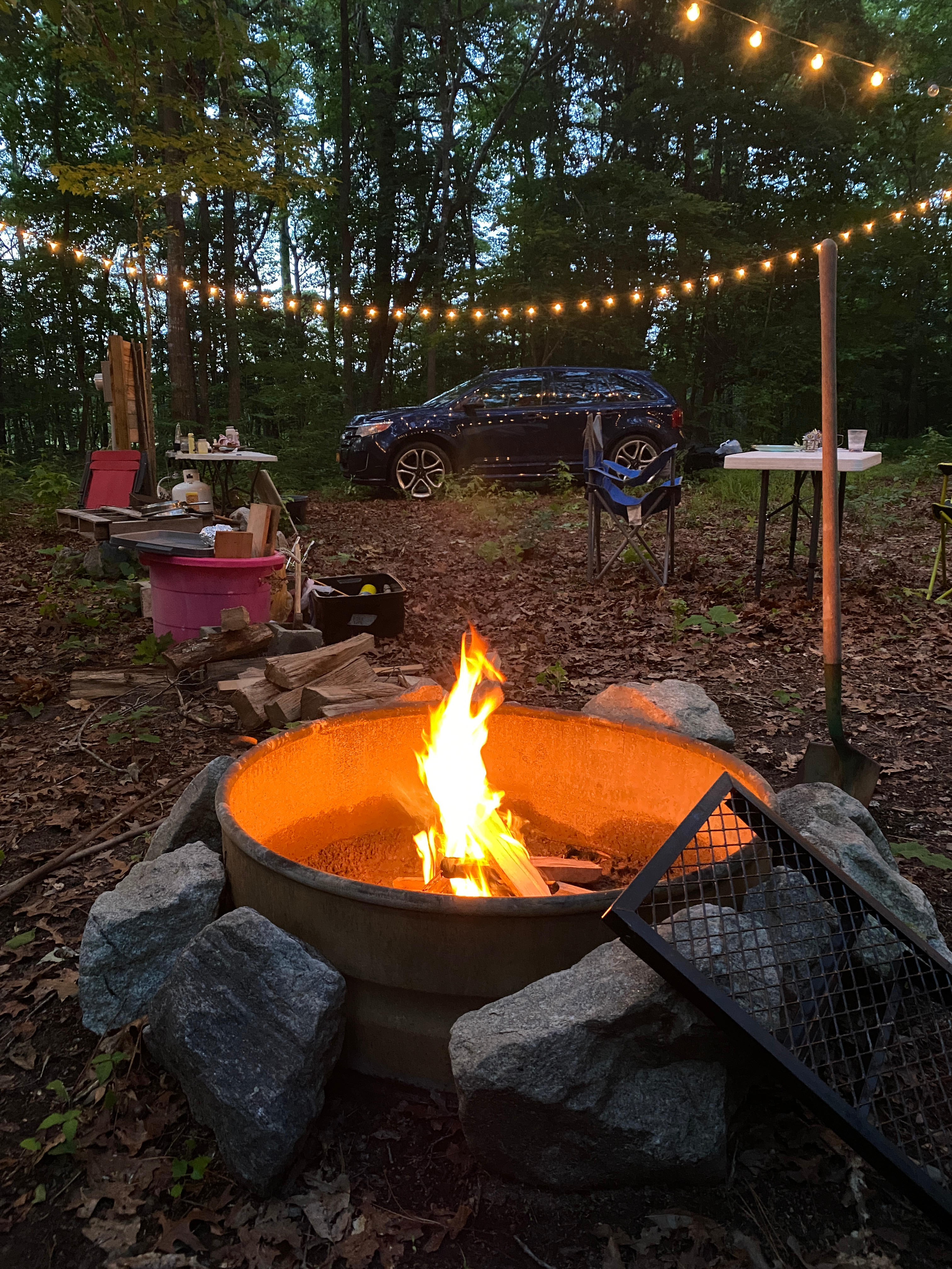Shine & Rise Magic Food Forest