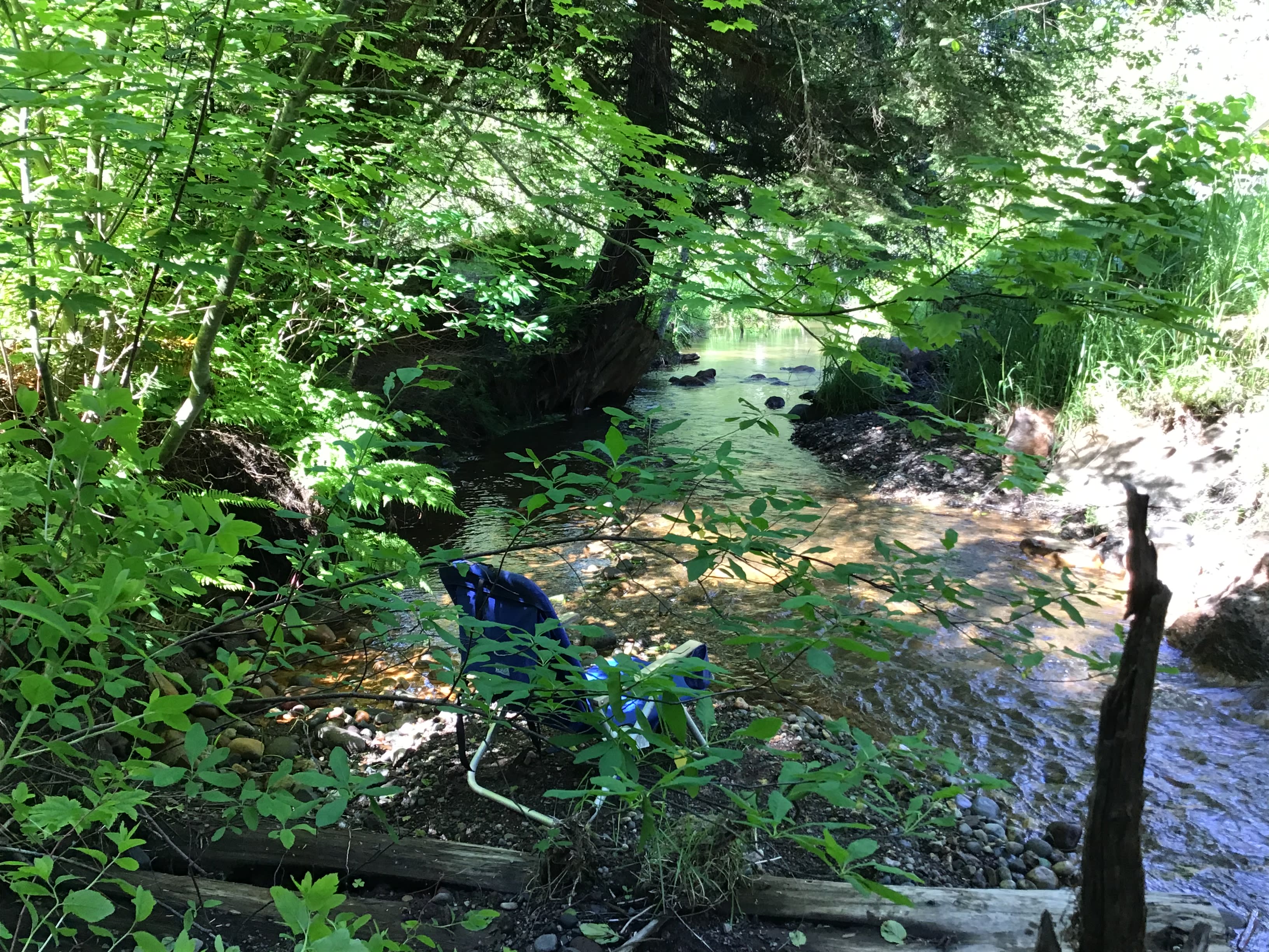 Wilderness Path