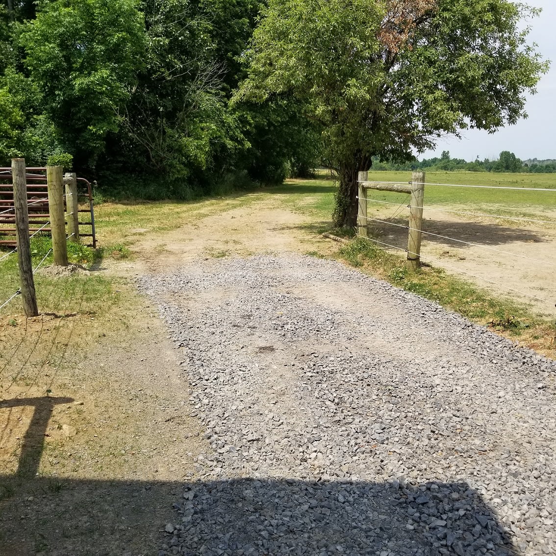 The driveway back to the campsite.