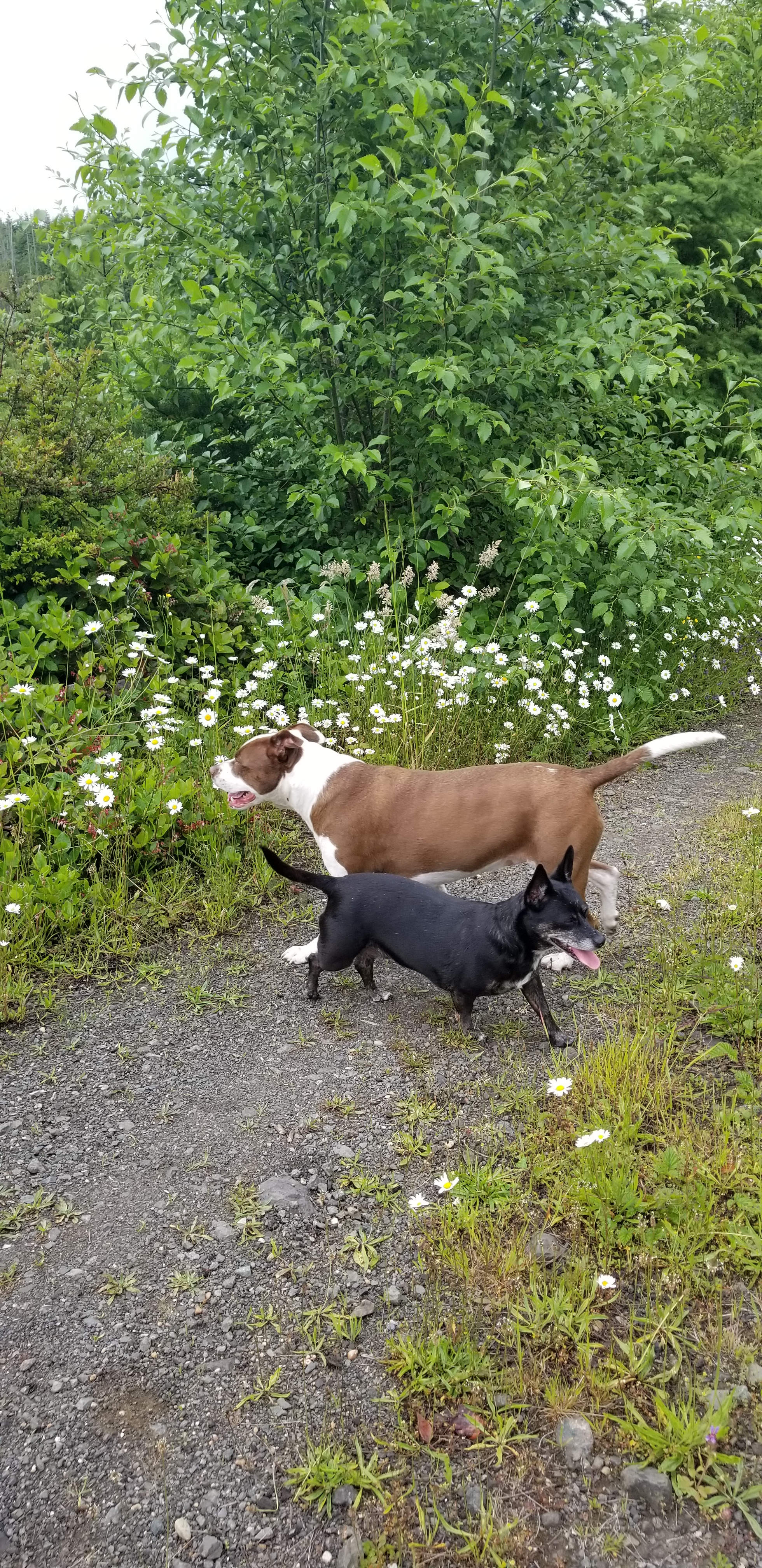 Medley Woods - Great for Groups!