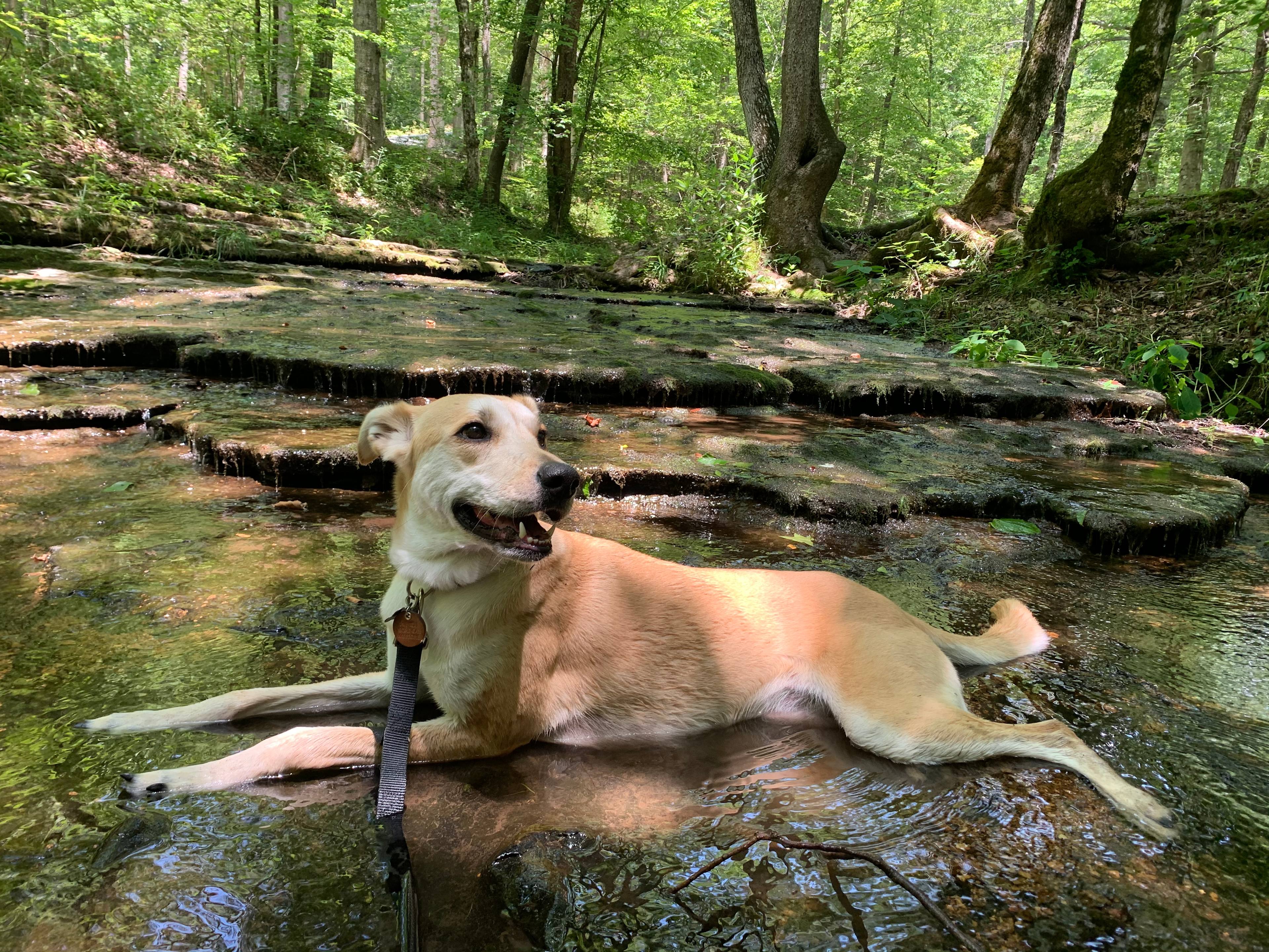 HeartStone Campground