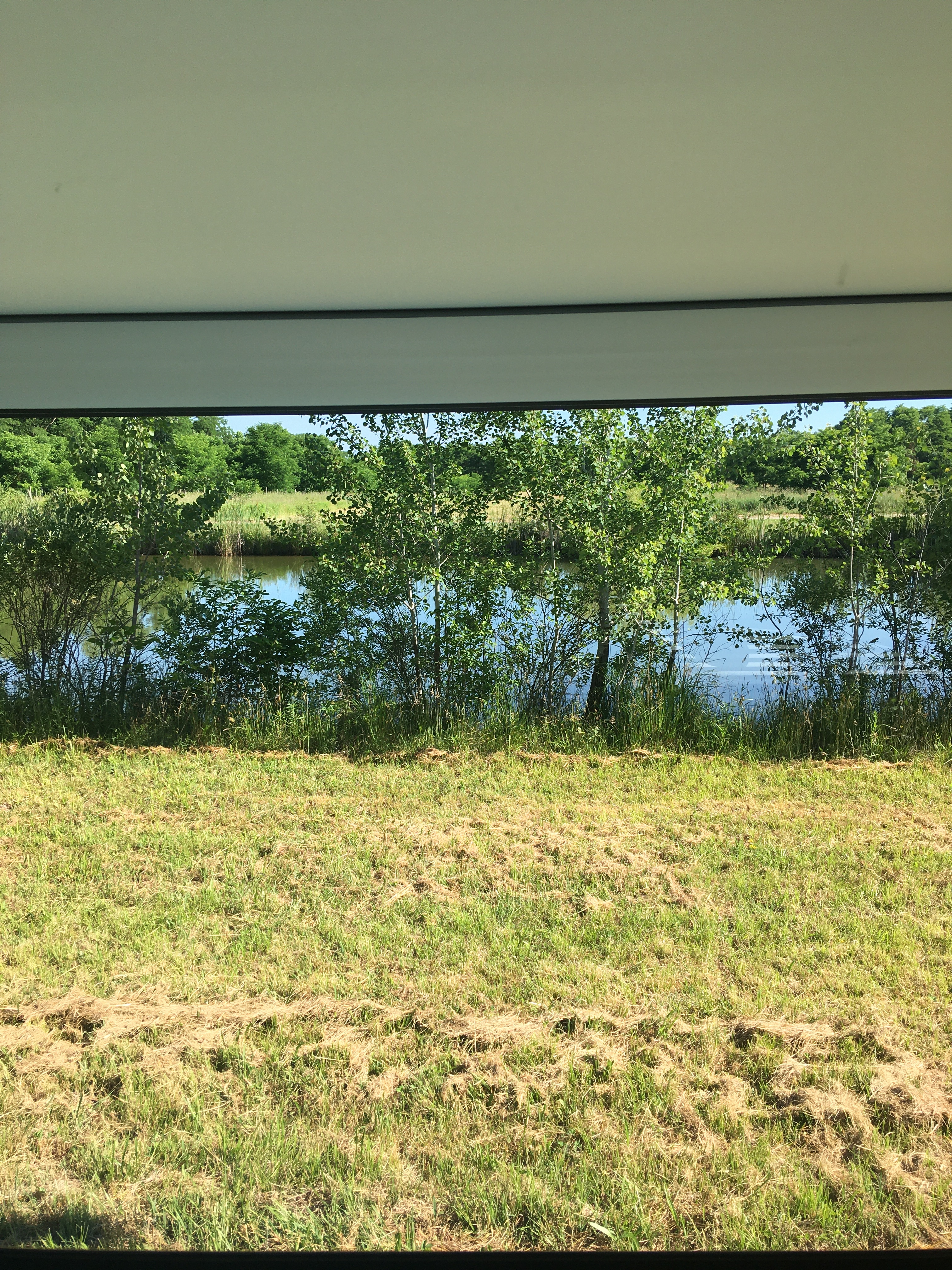 Camping in Wine Country