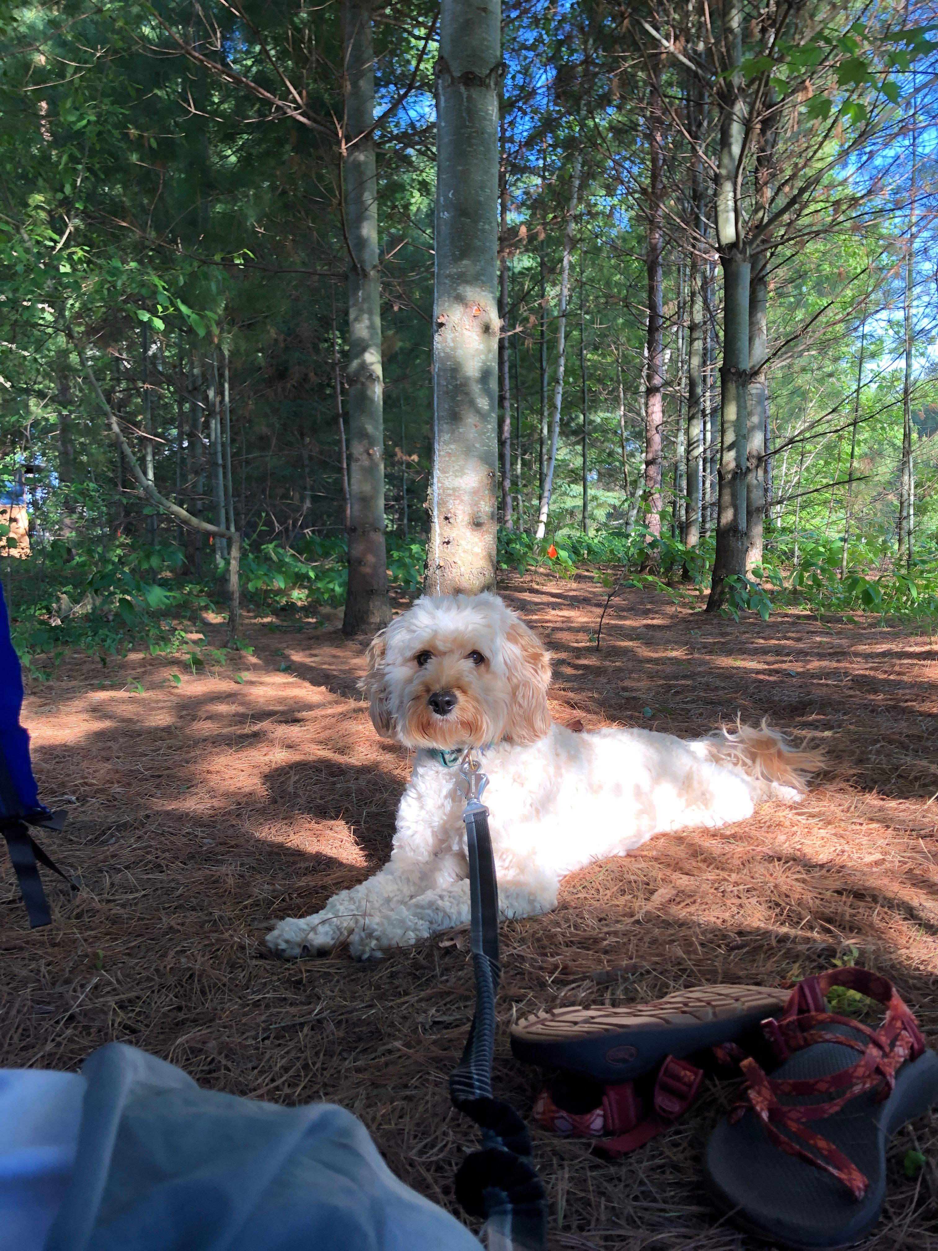 Lovely staying in this area 