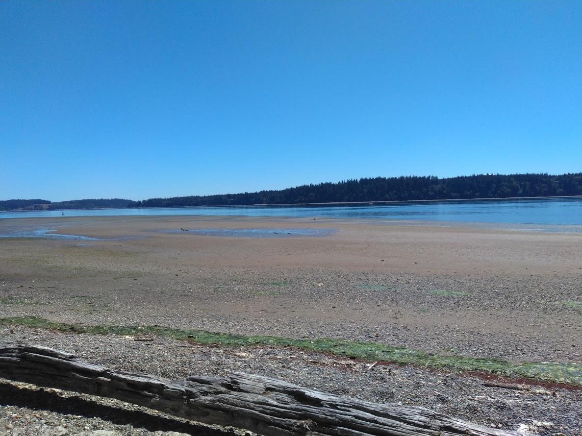 Low Tide - perfect for beach exploration