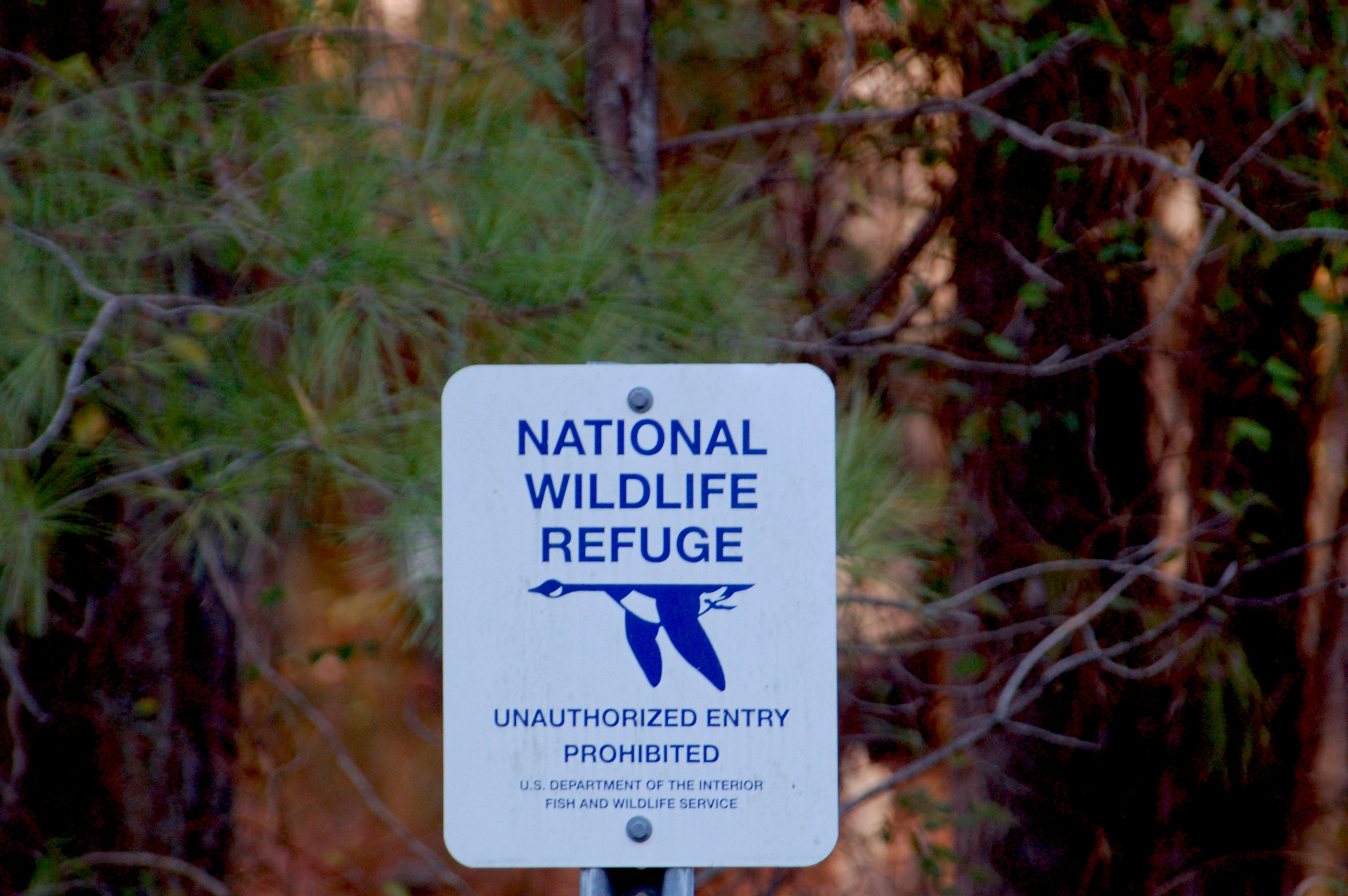 Outstanding Dreams Alpaca Farm