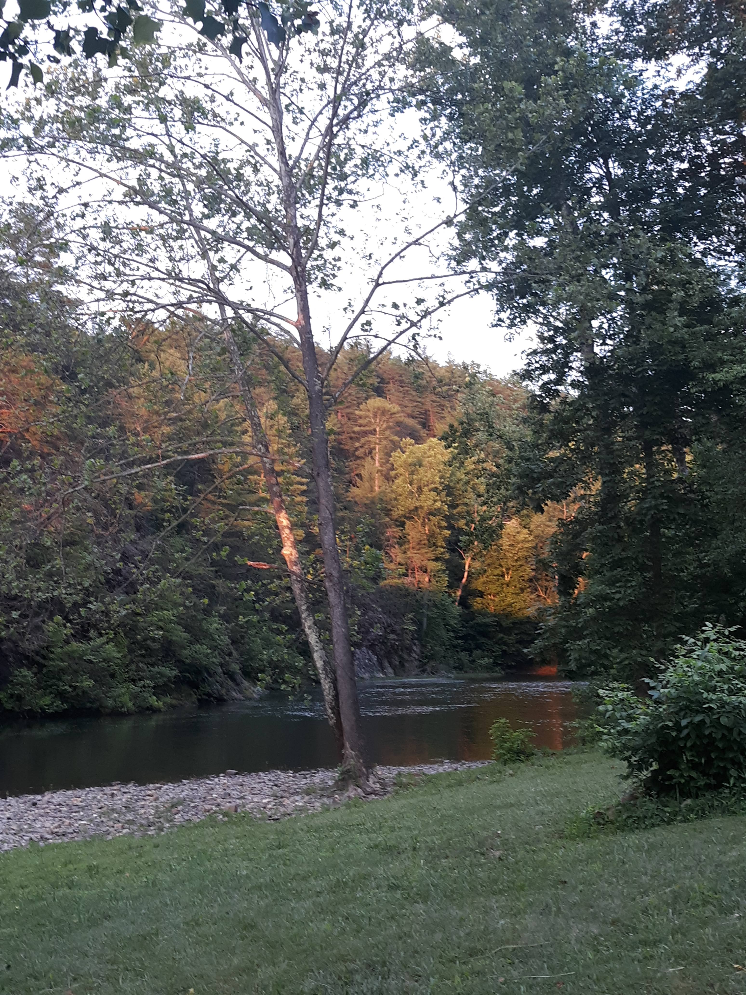 The beautiful Cowpasture River with our own private rock beach.