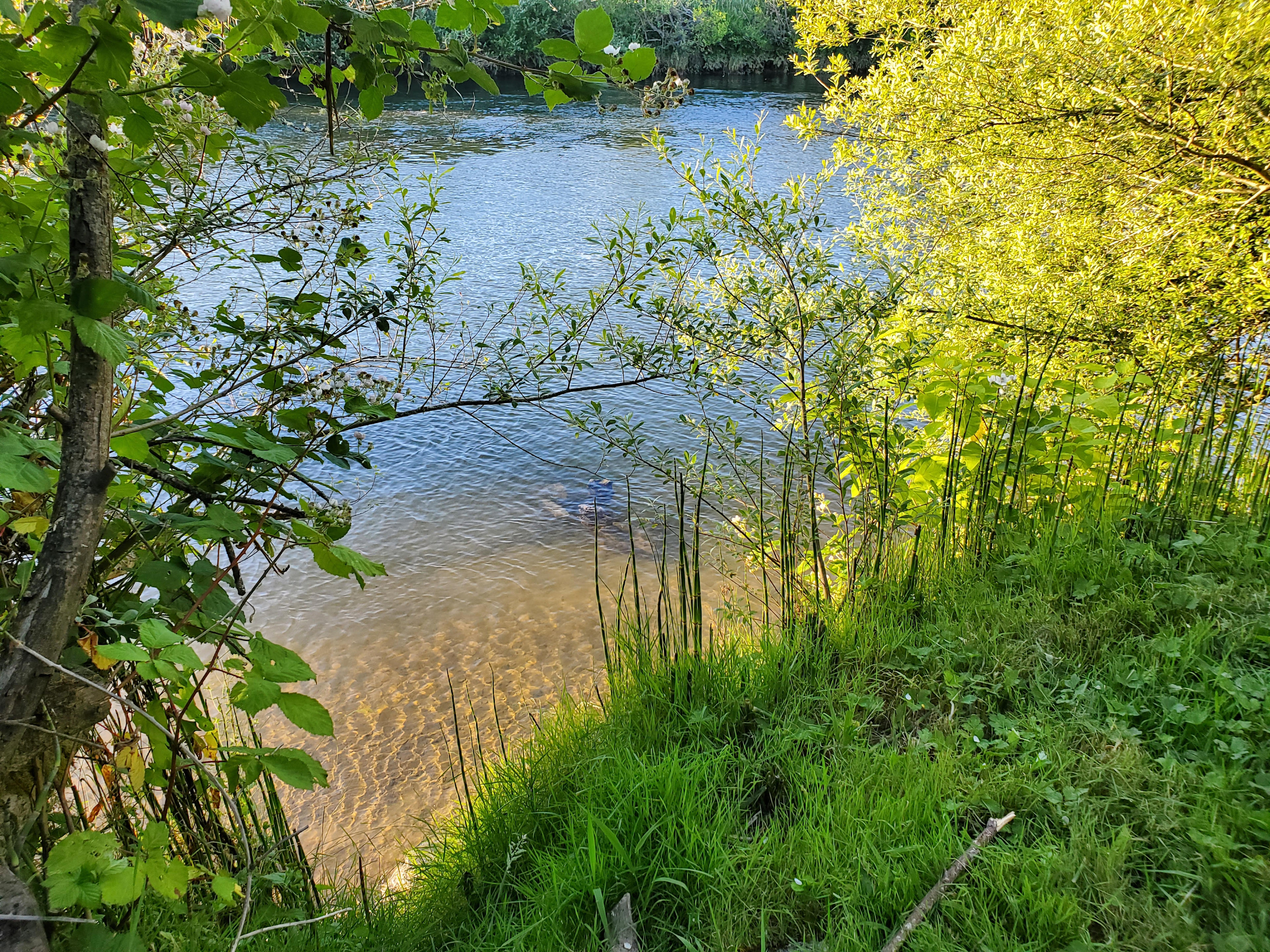 Foley's River Camp