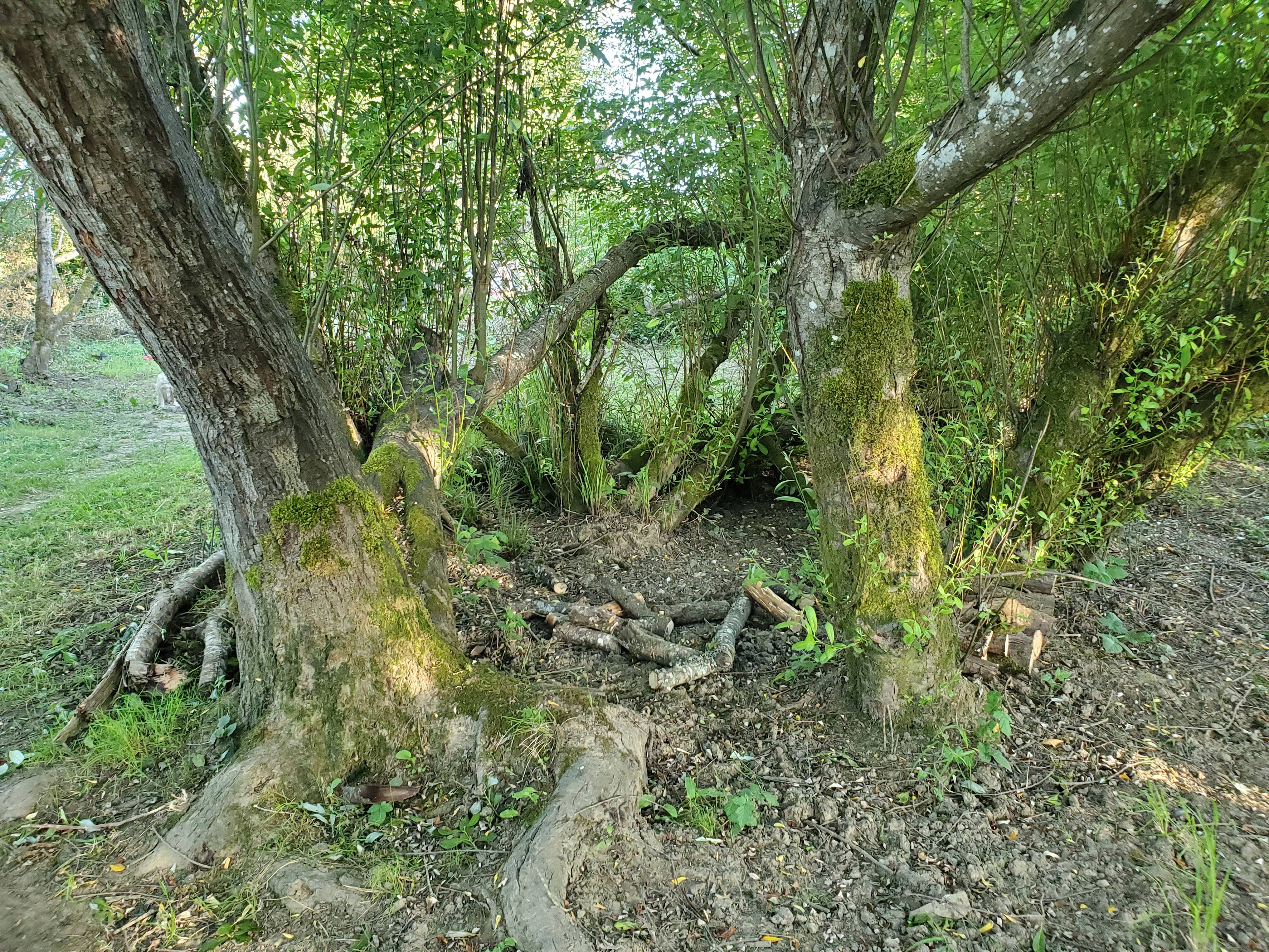 Foley's River Camp