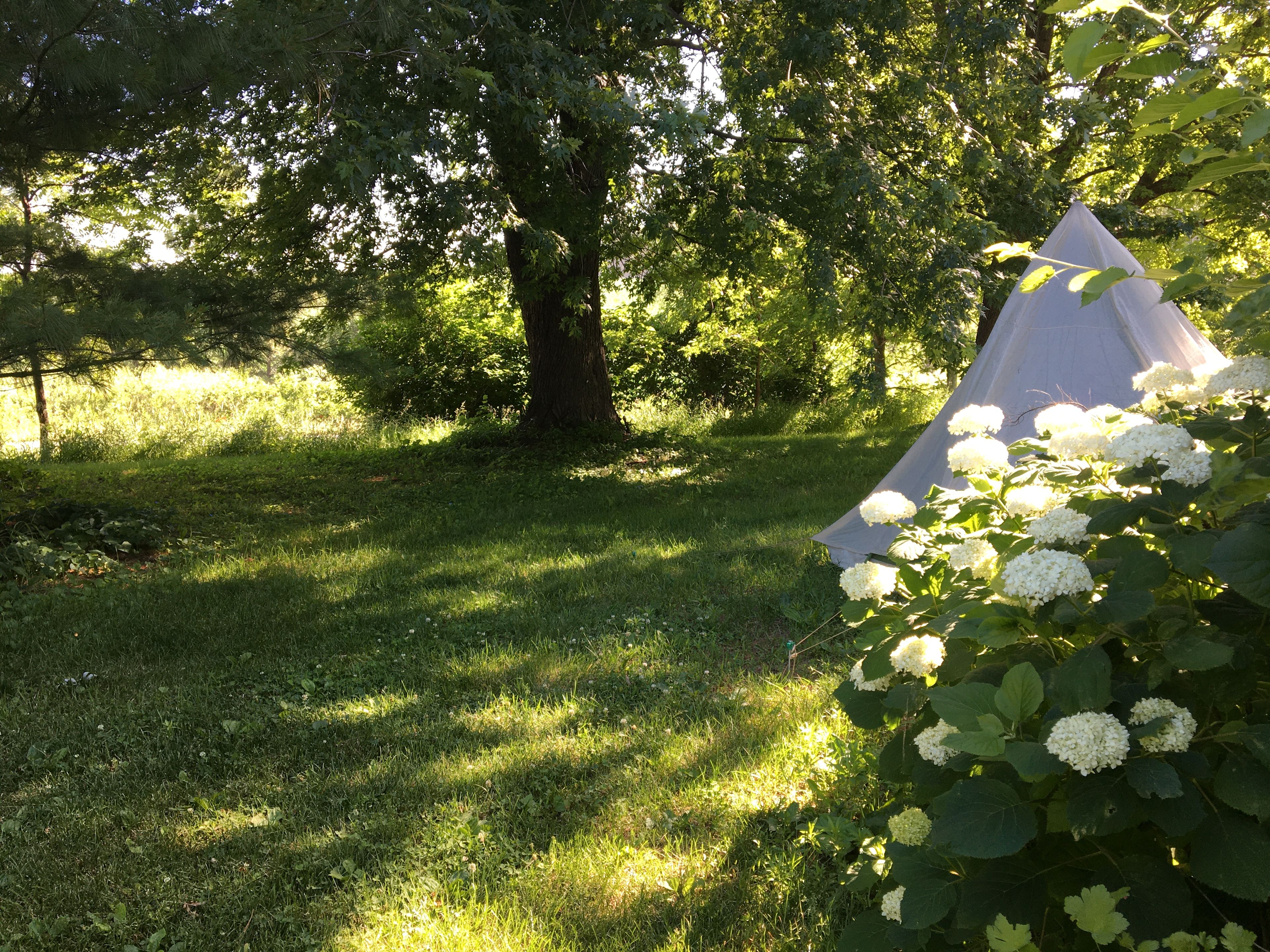 Campsite