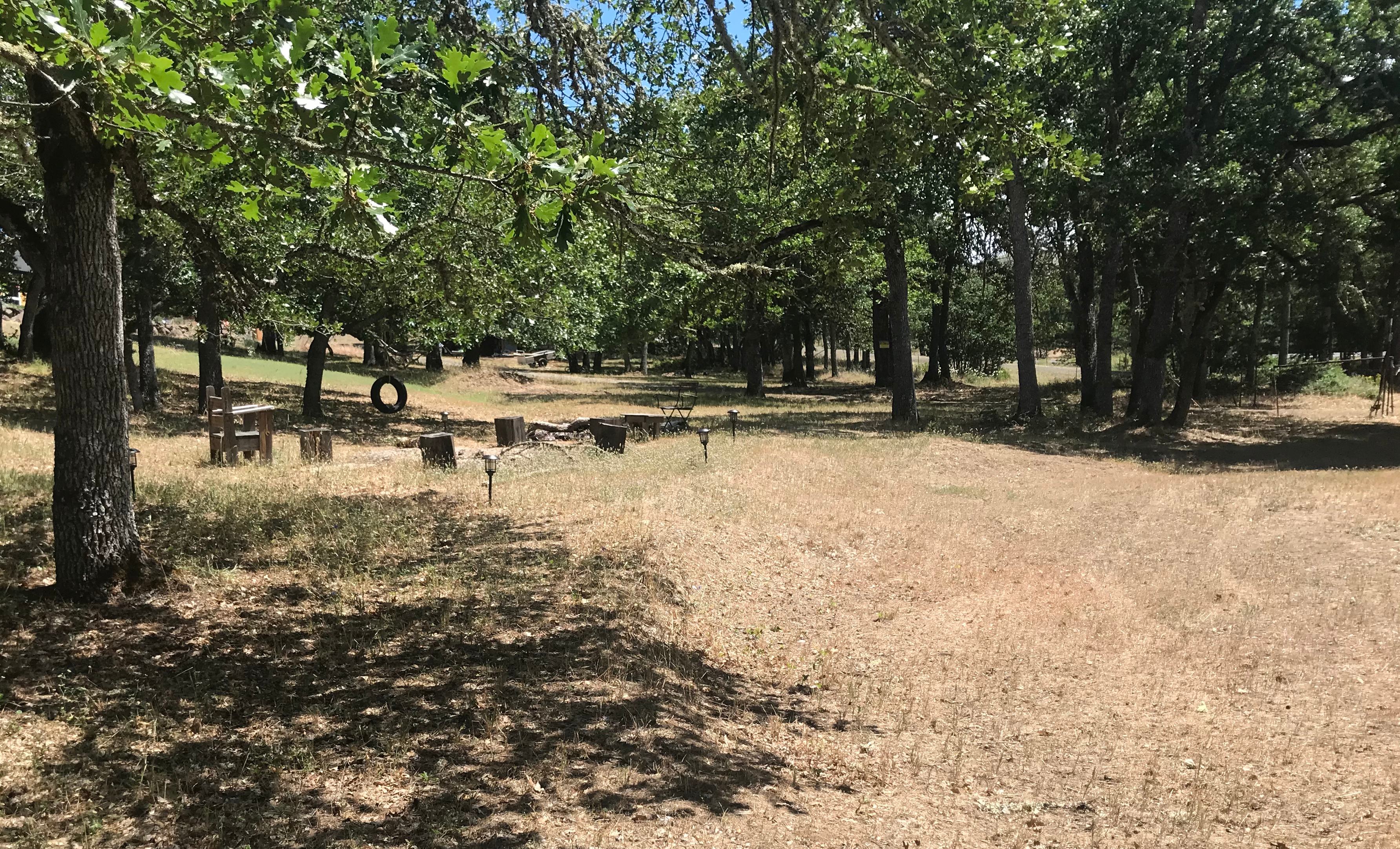 Campsite view