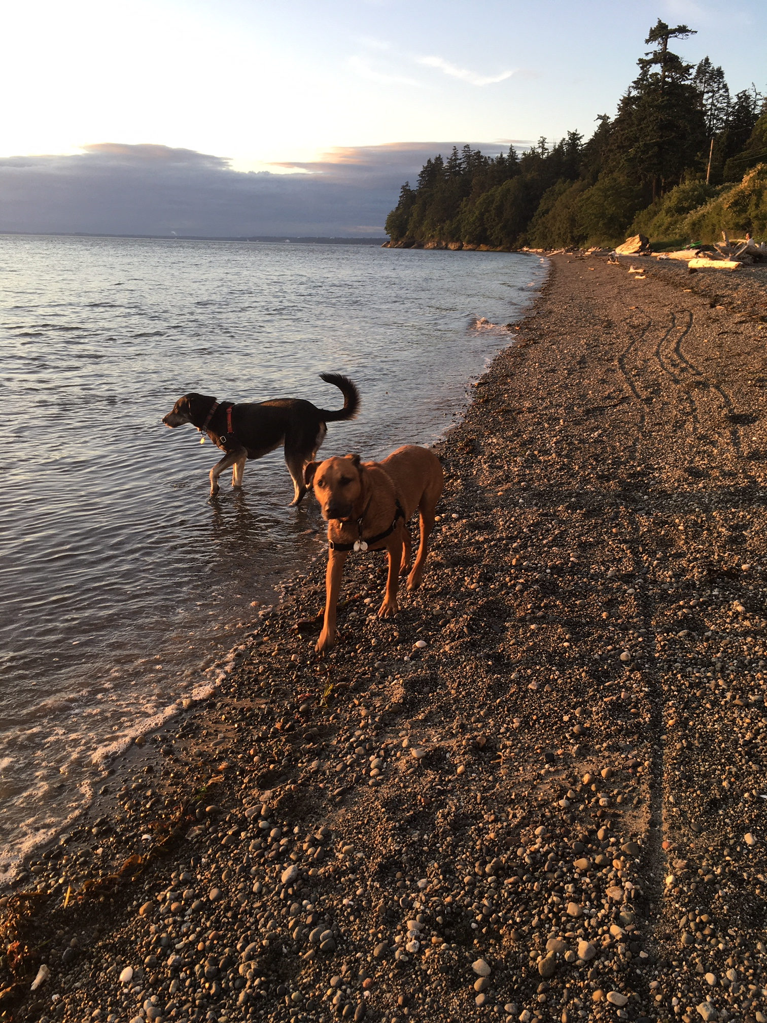 Pumpkin Patch beach, a few steps away.