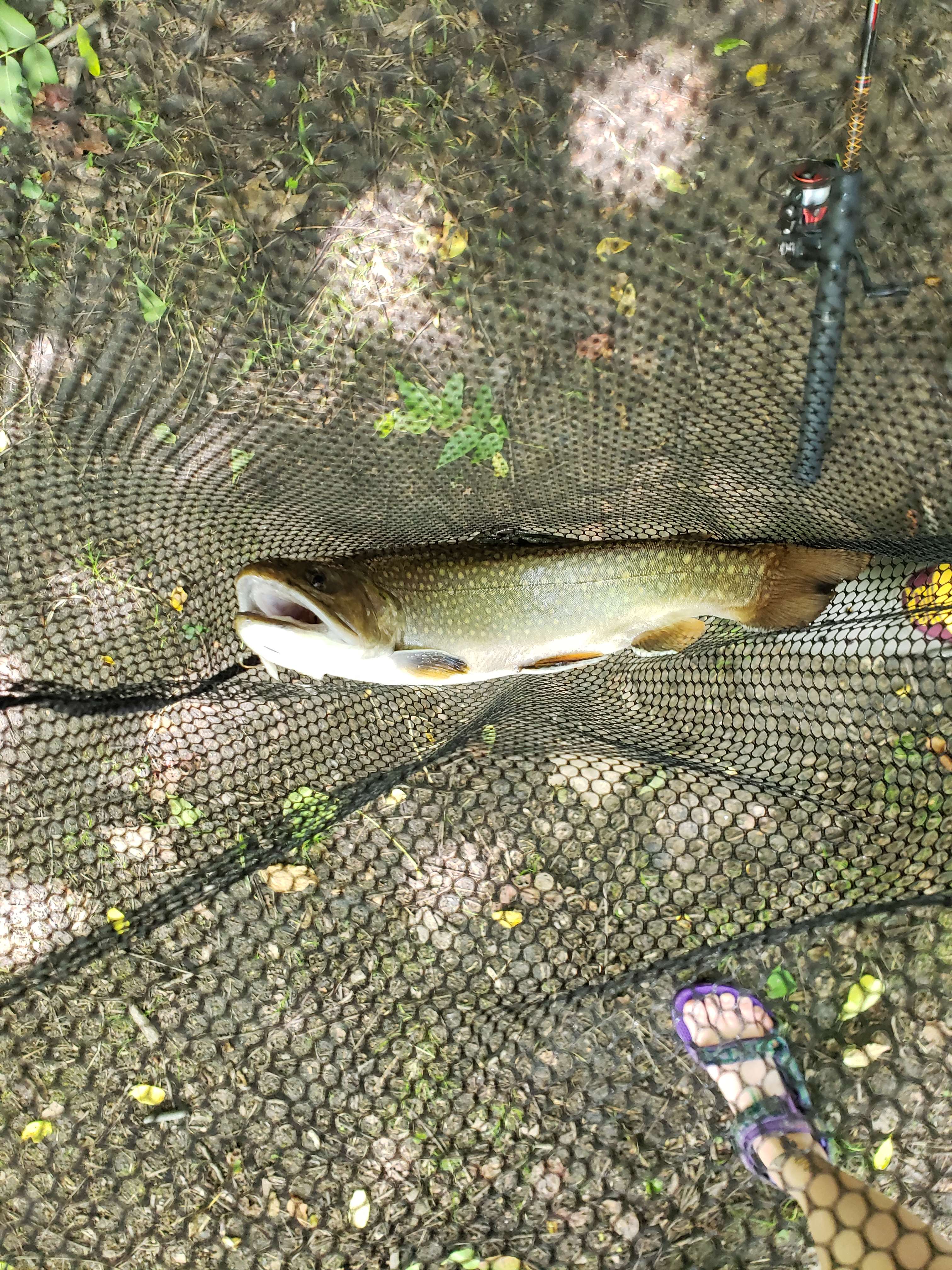 Destination Outdoors! DO IT!