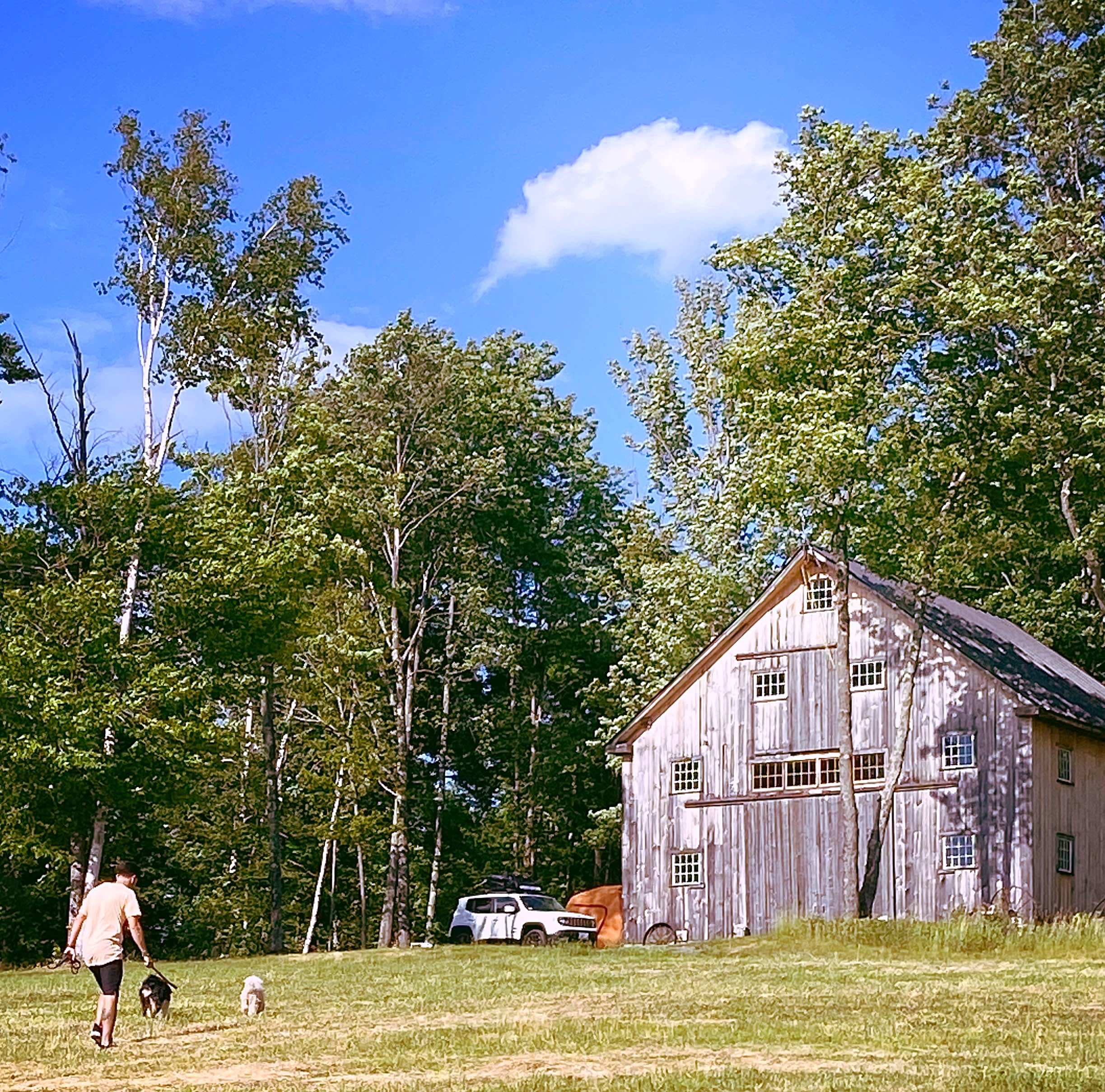 Sugar Wood Meadow Camping