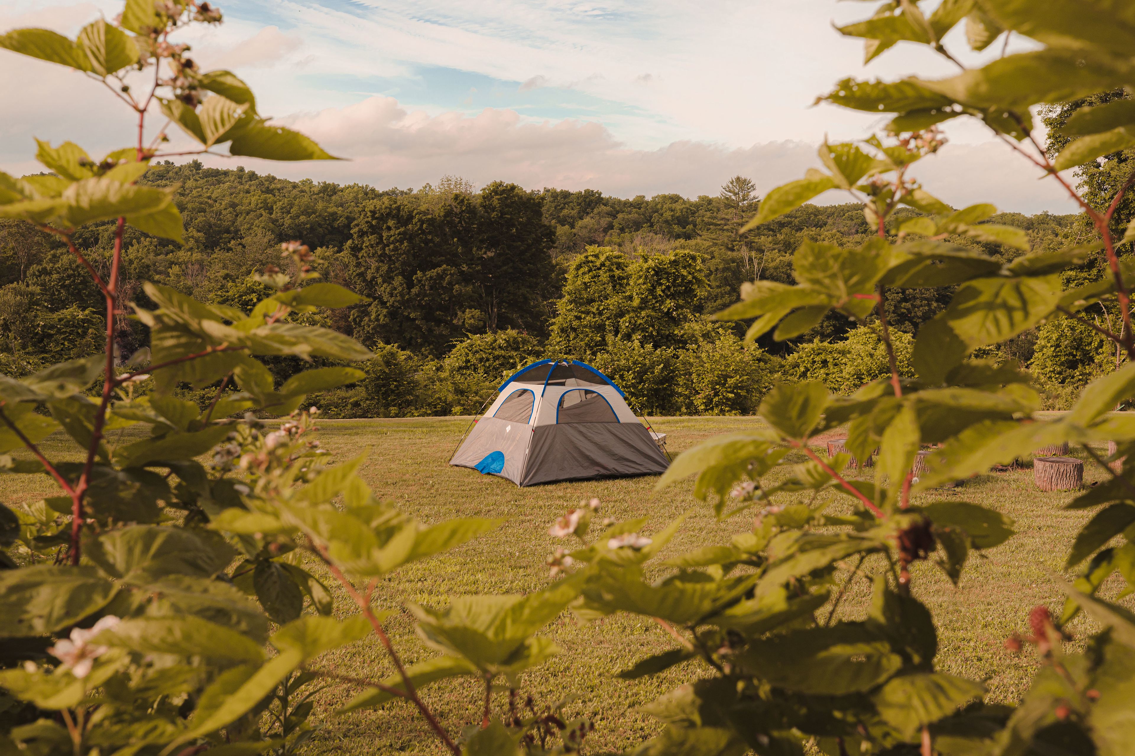 In the midst of it all