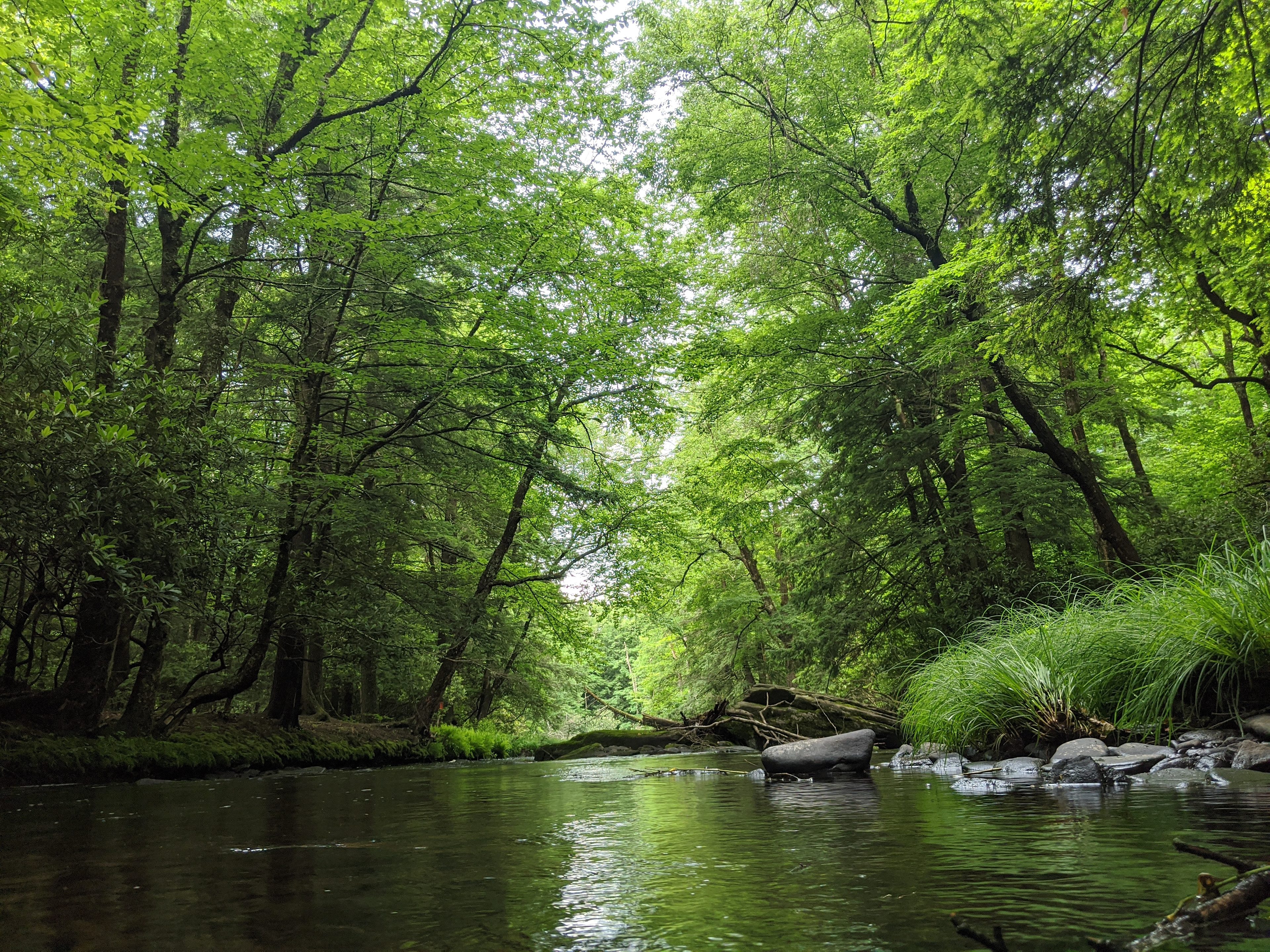 Beautiful river ... 
