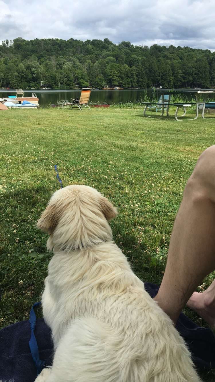 BEAUTIFUL FALL Private Lake CAMPING