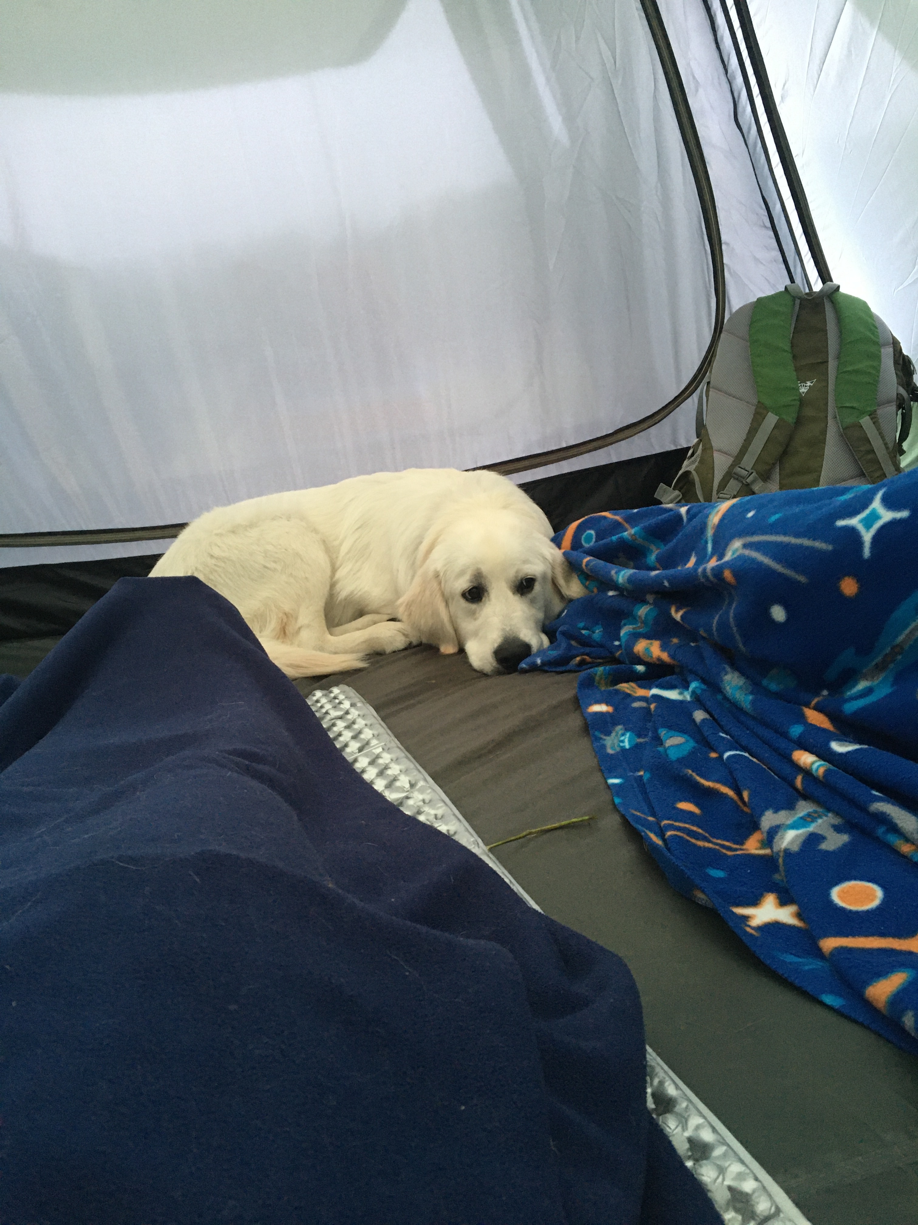 BEAUTIFUL FALL Private Lake CAMPING