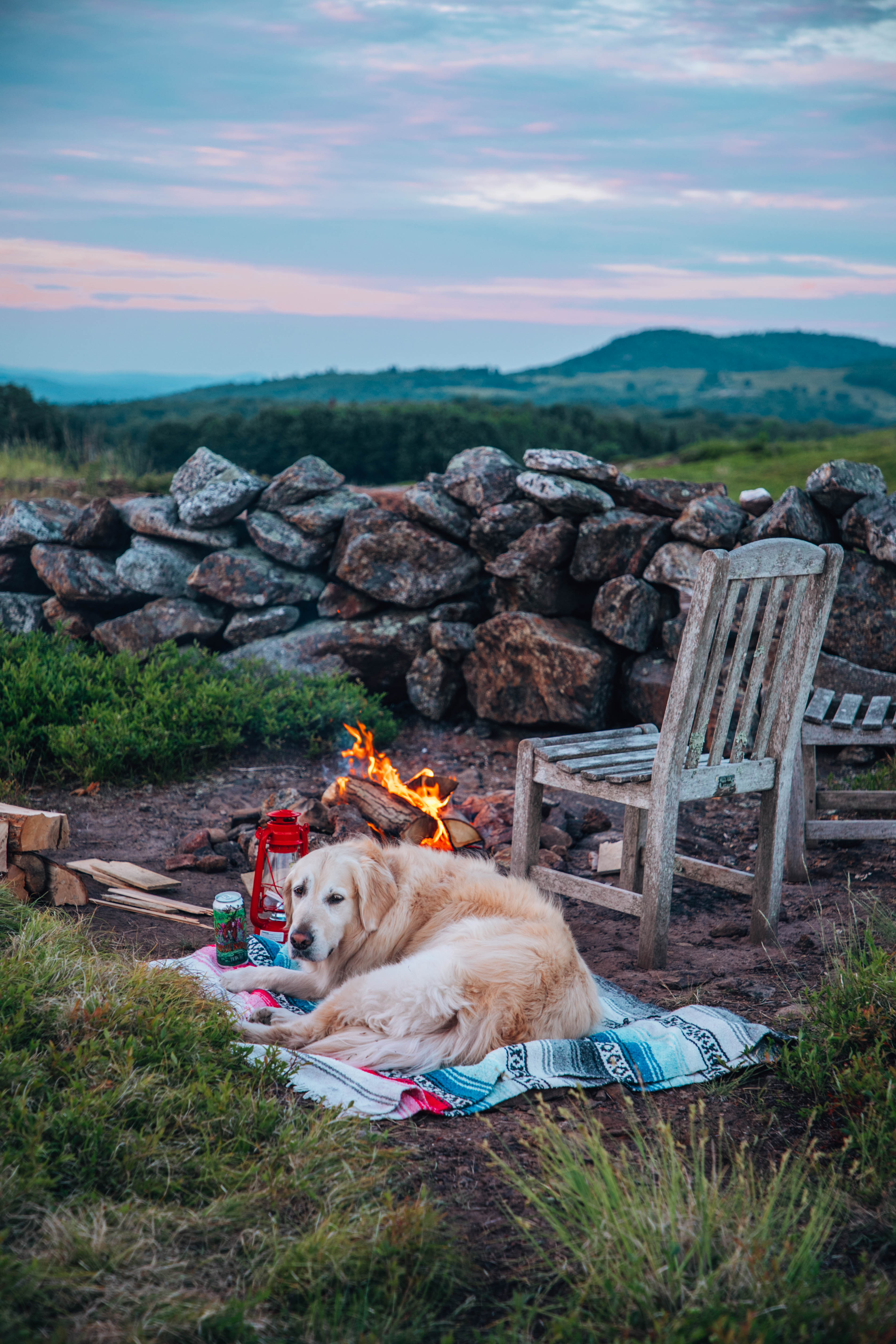 Magnificent View Blueberry Hilltop