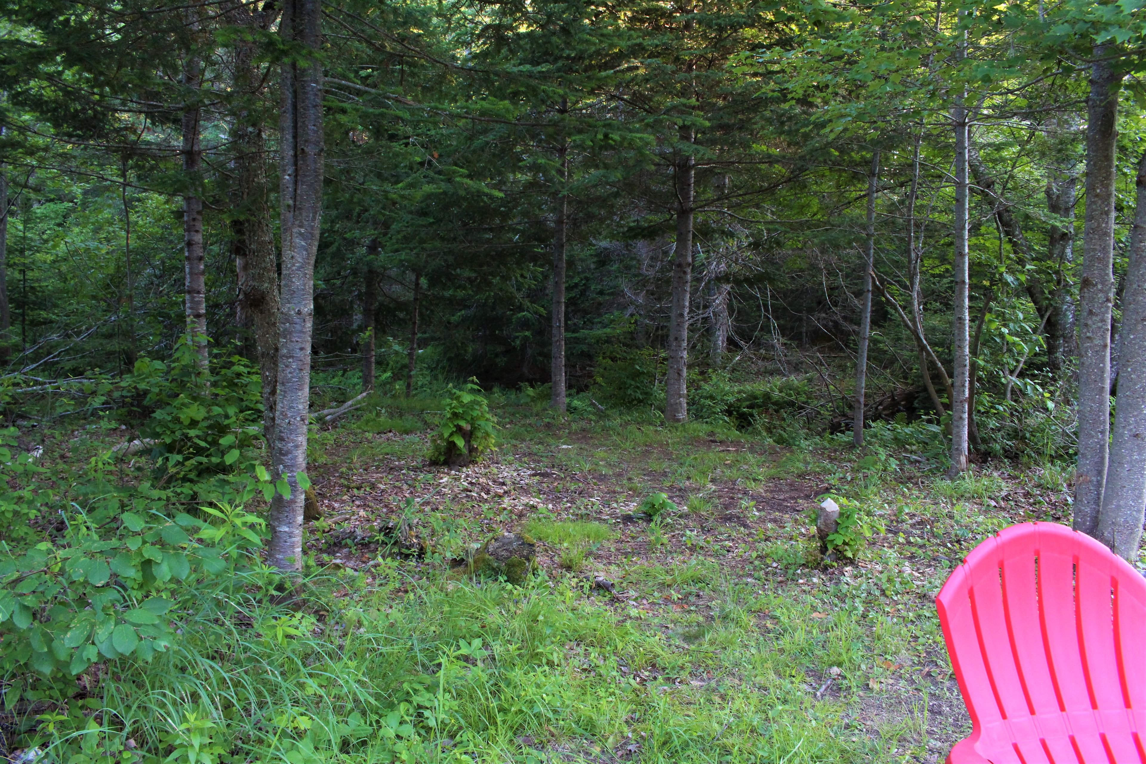 Robinson's Cottages Camping