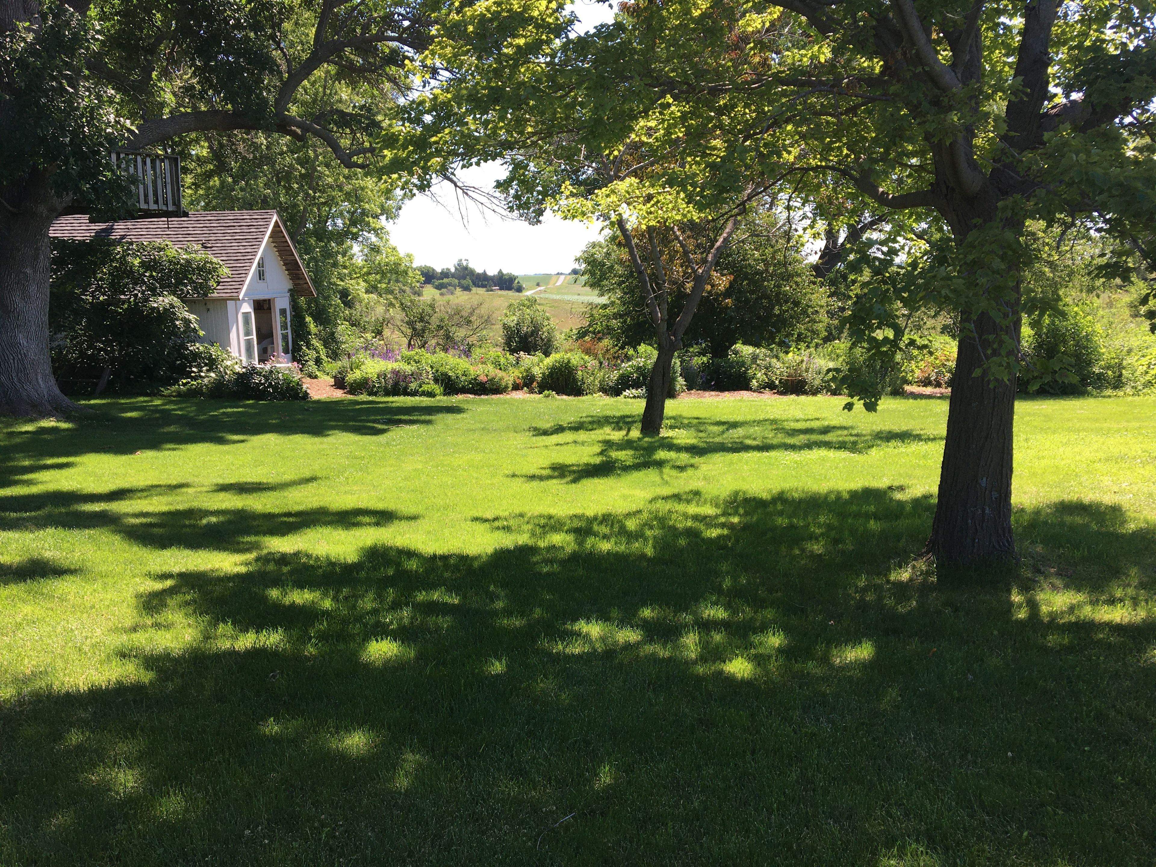 View of the cutting garden.