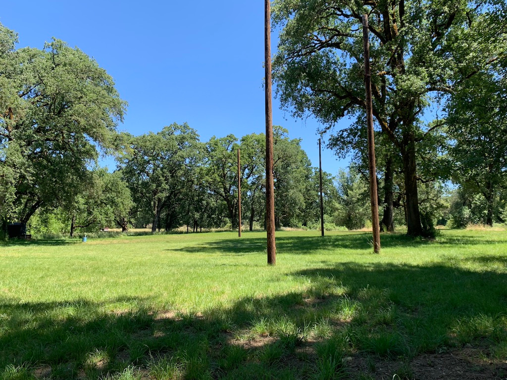 Main Concert Bowl (early summer). 