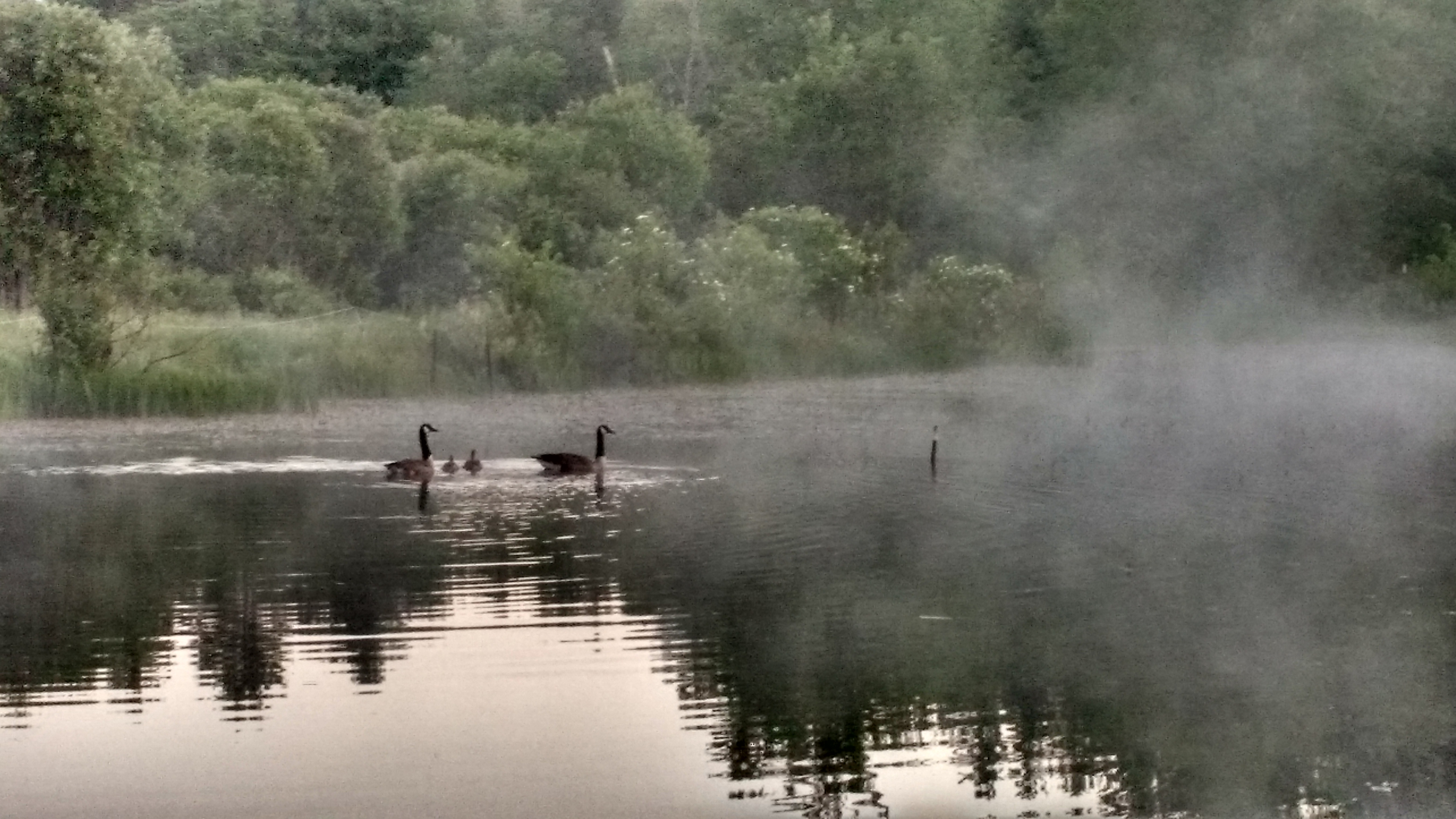 Early risers will be treated to cool scenes
