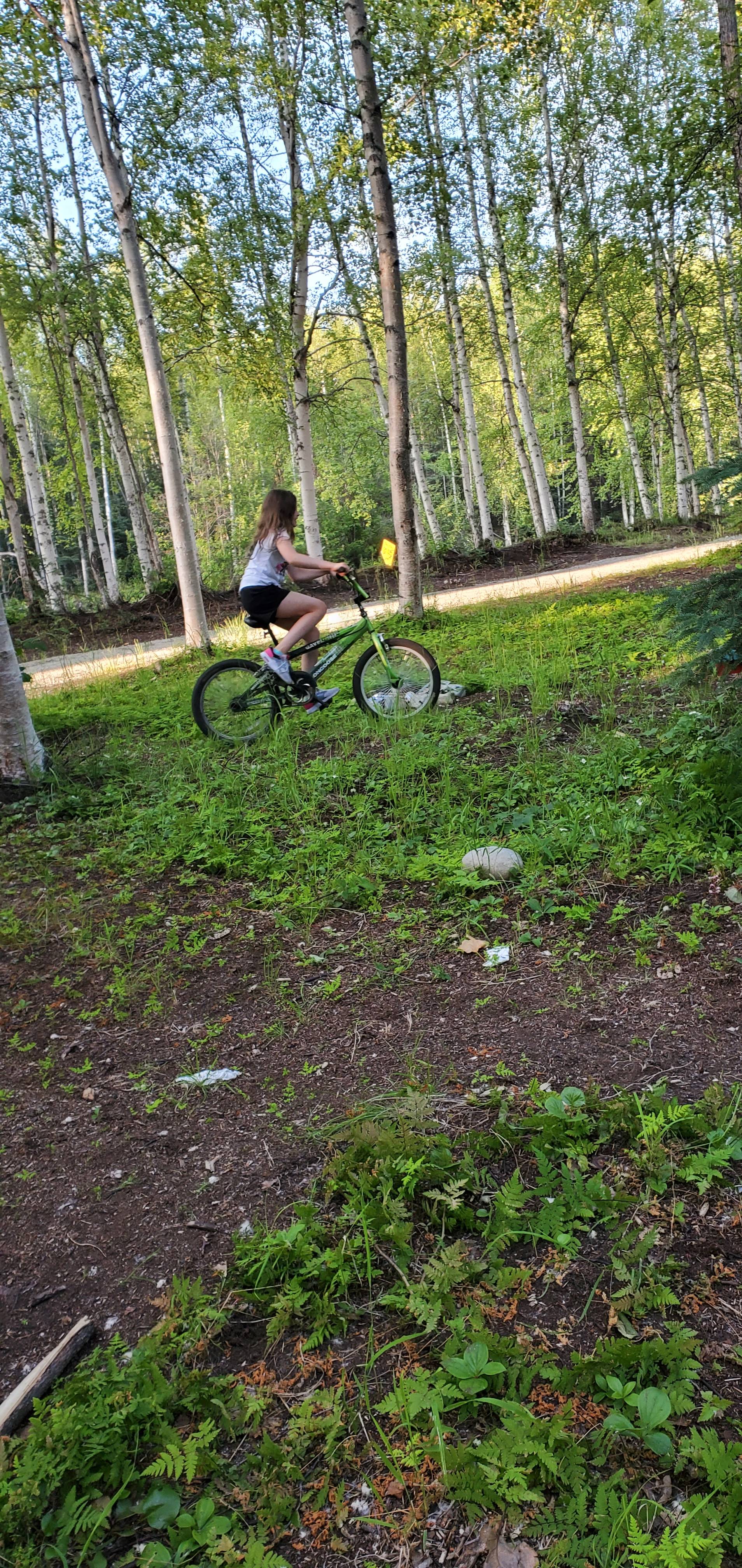 Clean Forest type camping