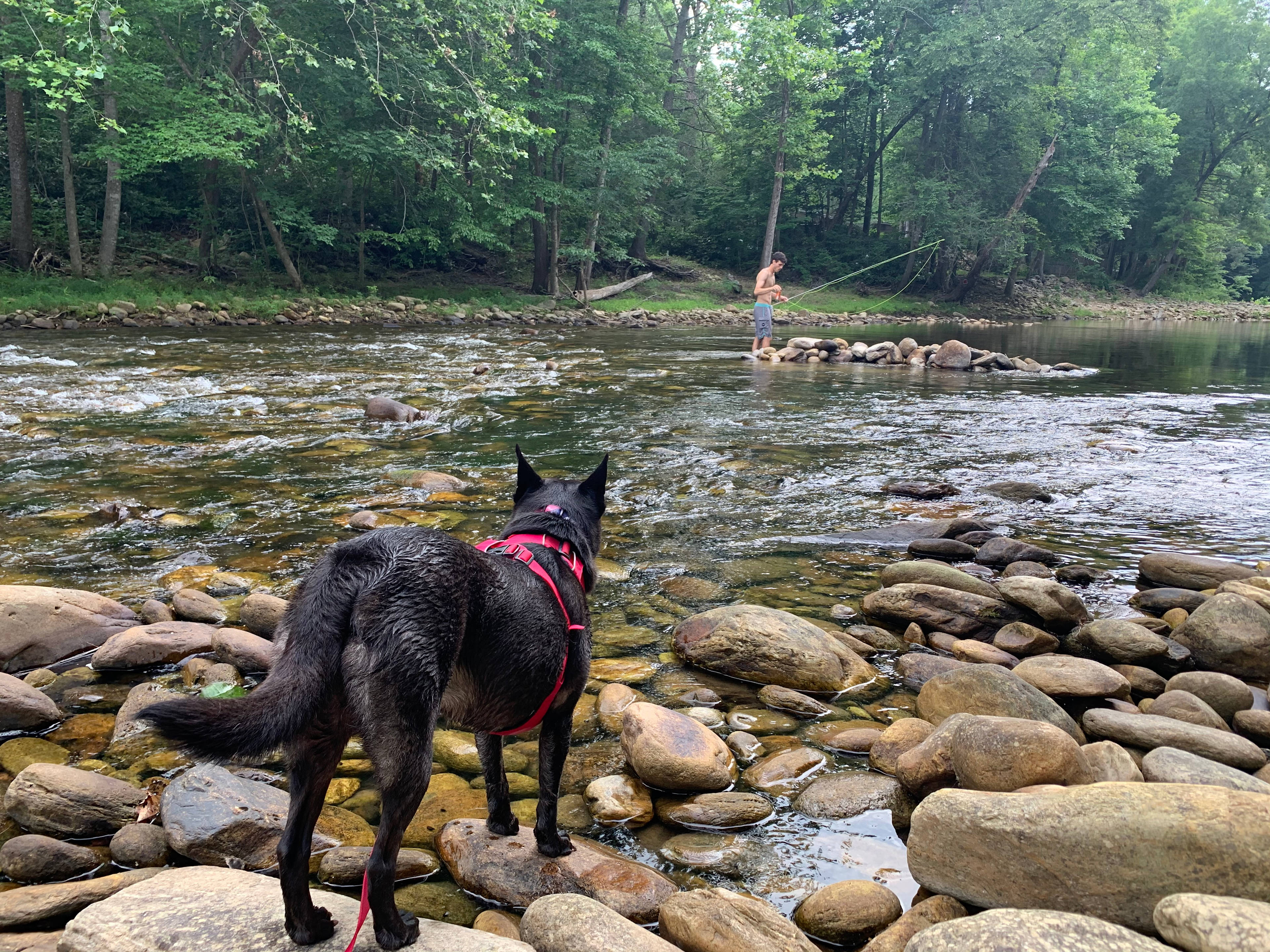 Some fly fishing