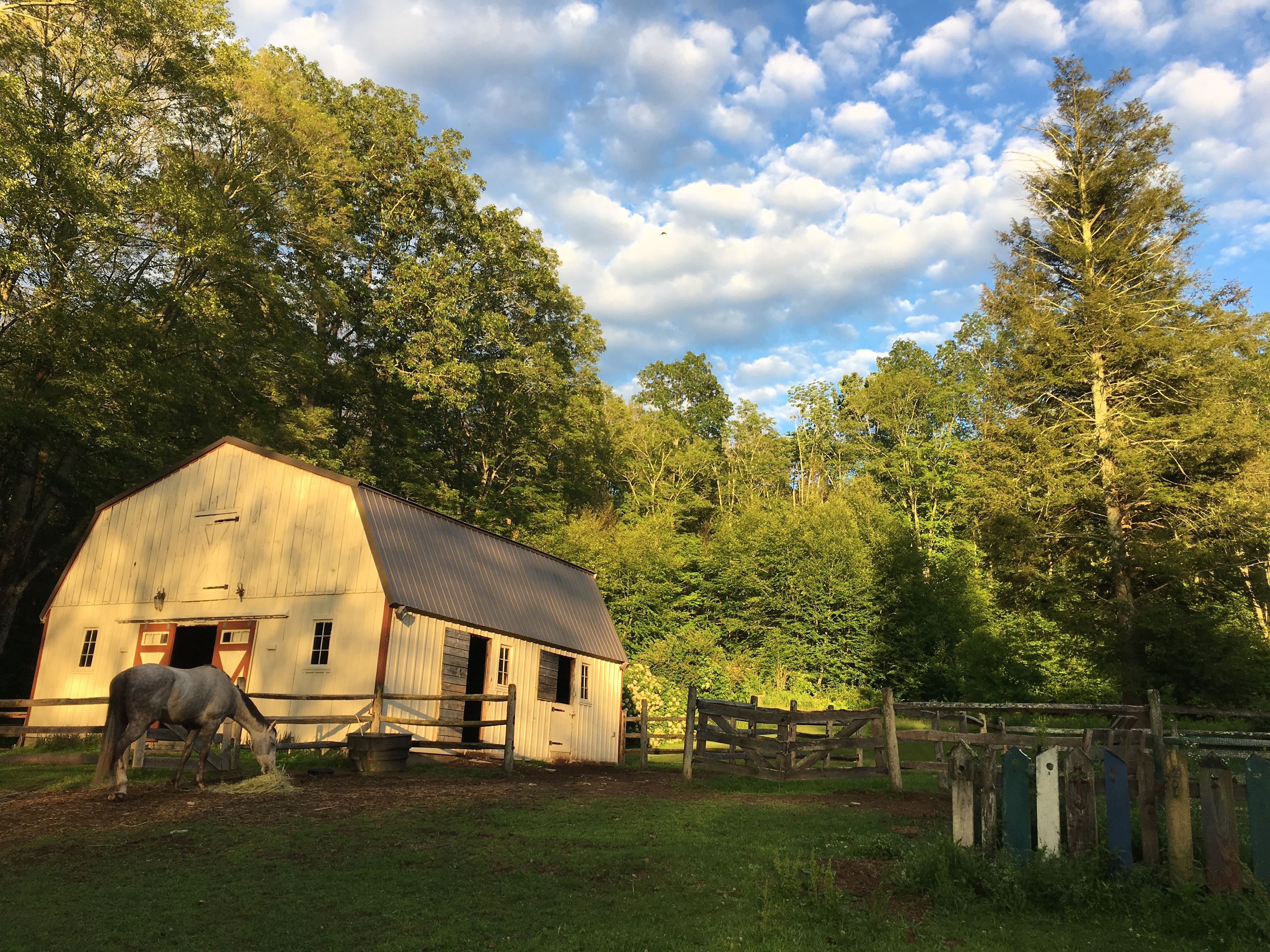 The Barn! that sleeps 16+ people and just shows how gorgeous this property is.