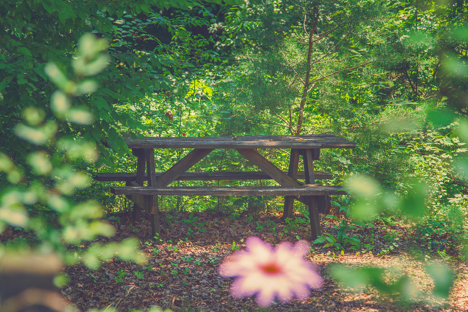 Picnic table at the camper spot.