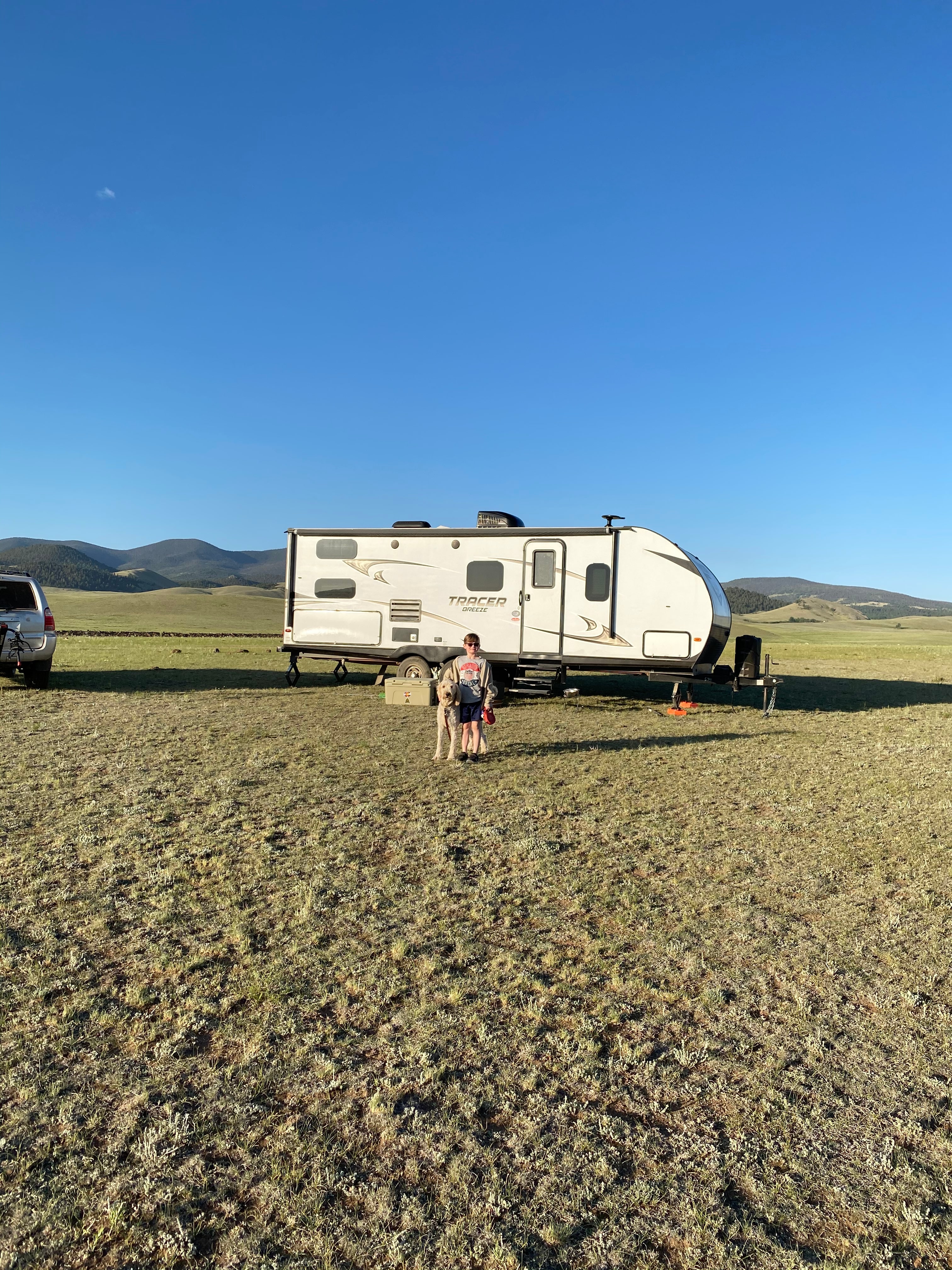 Boy and dog like to roam free