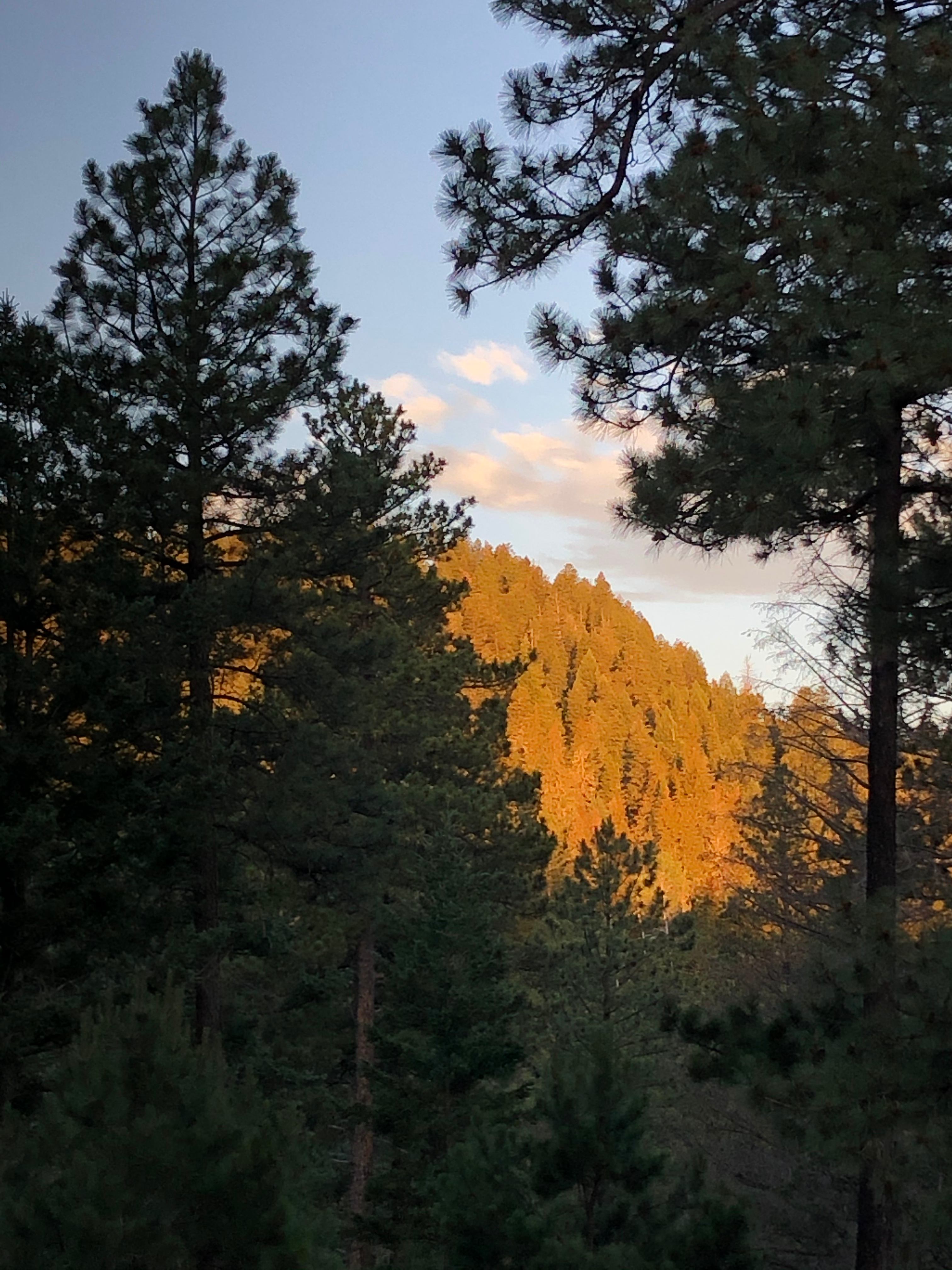 Edge of the Rez