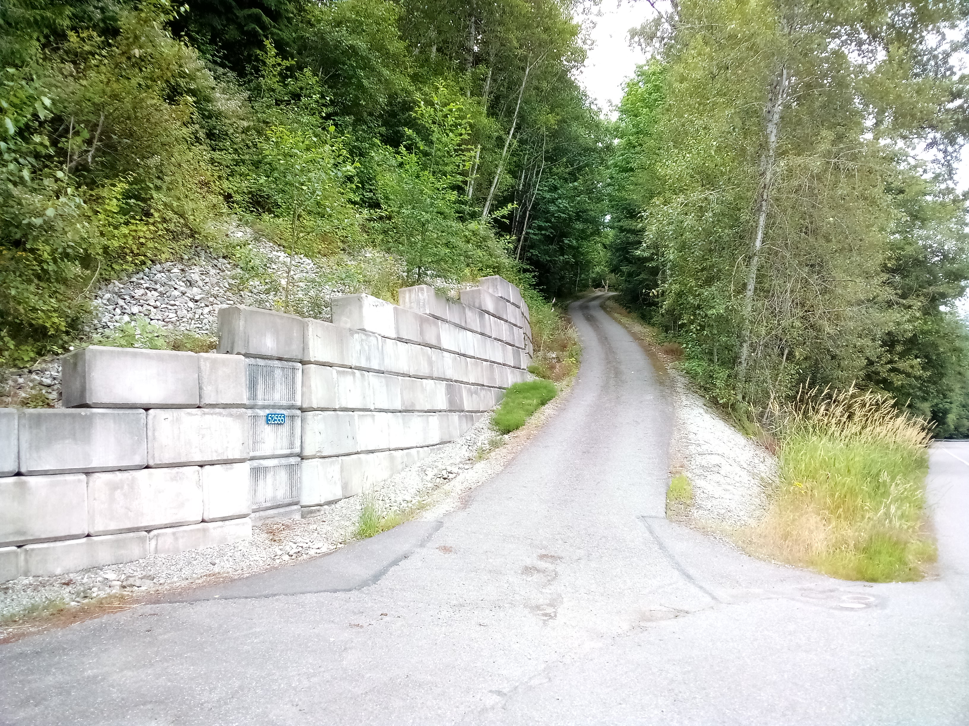 Looking up the driveway