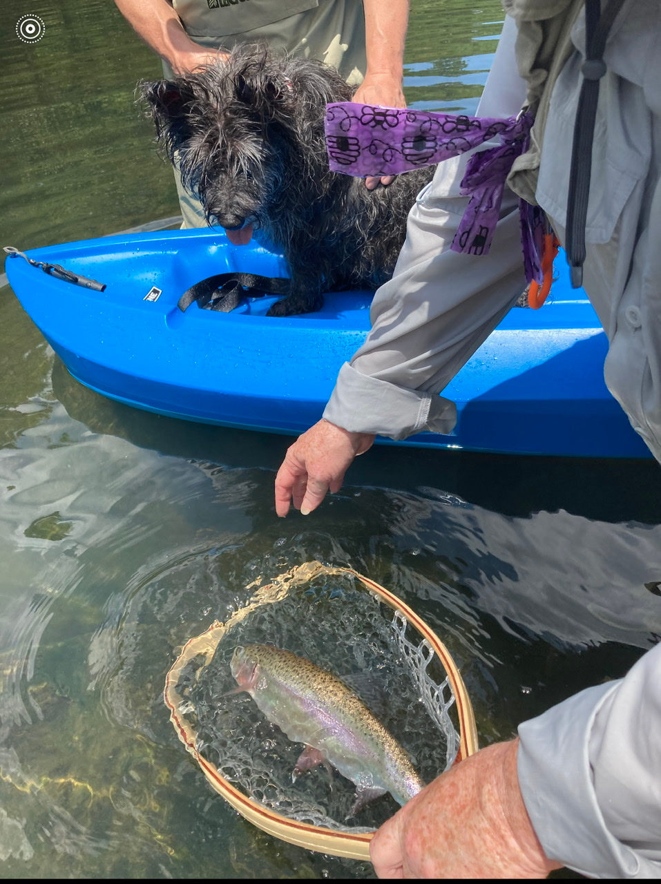 Xena checking out the catch!  We stopped counting at 20 trout!