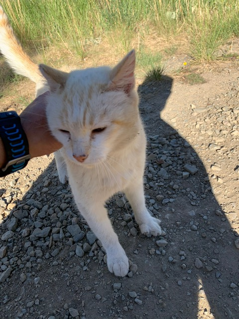 Earth Mountain Education Farm