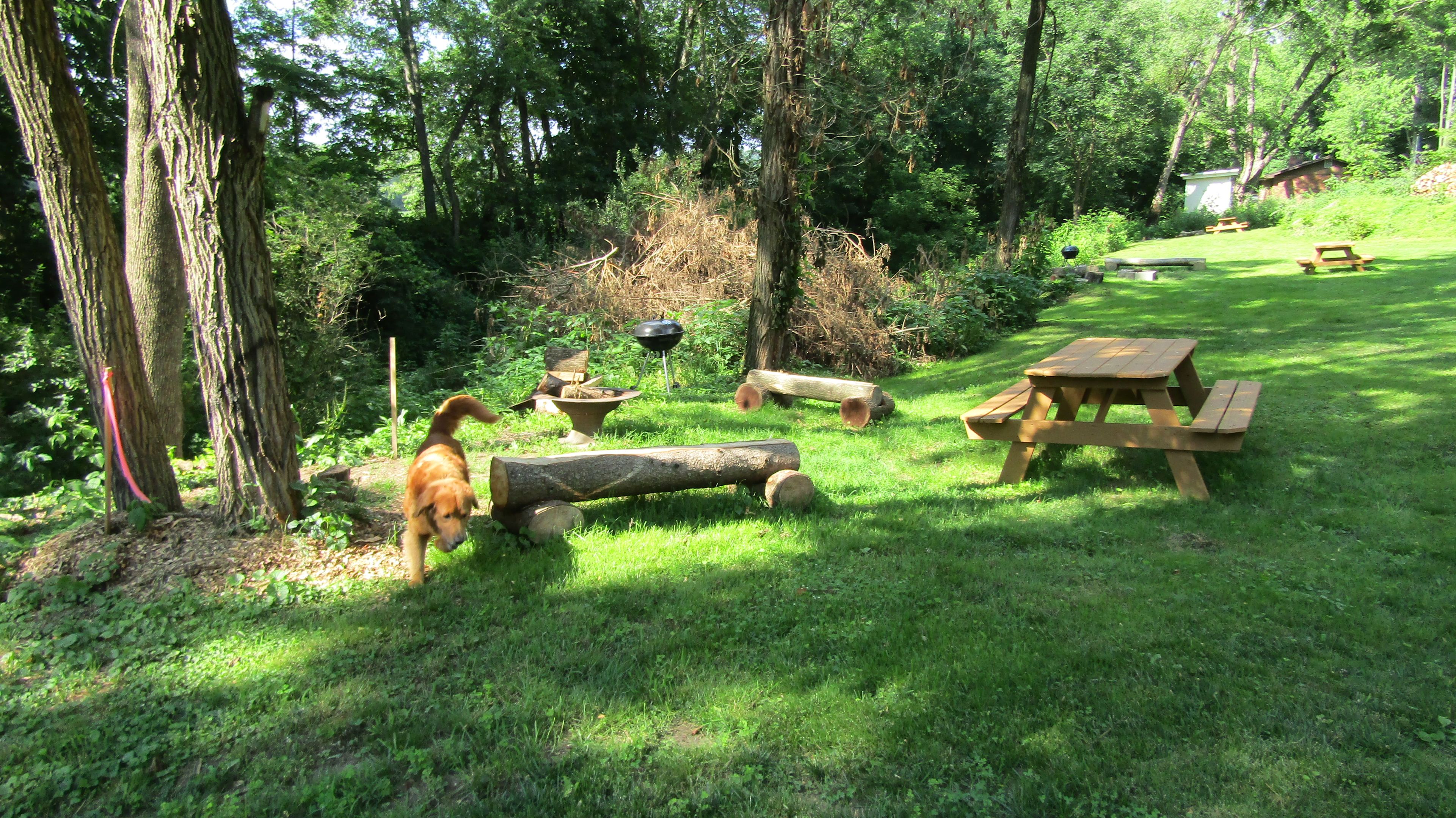 A view of our upper three campsites.