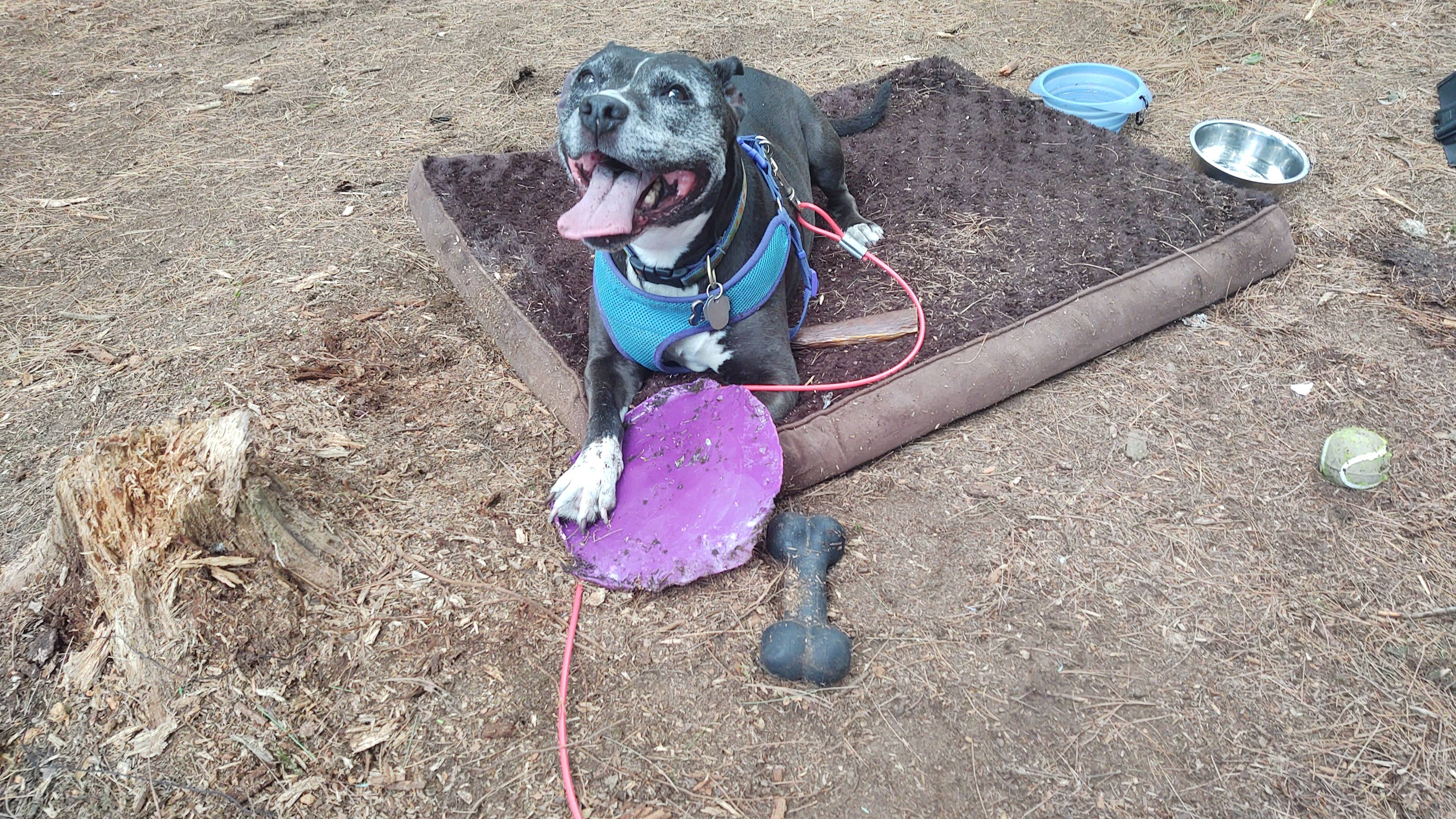 Transparent Sands, Diamond Point