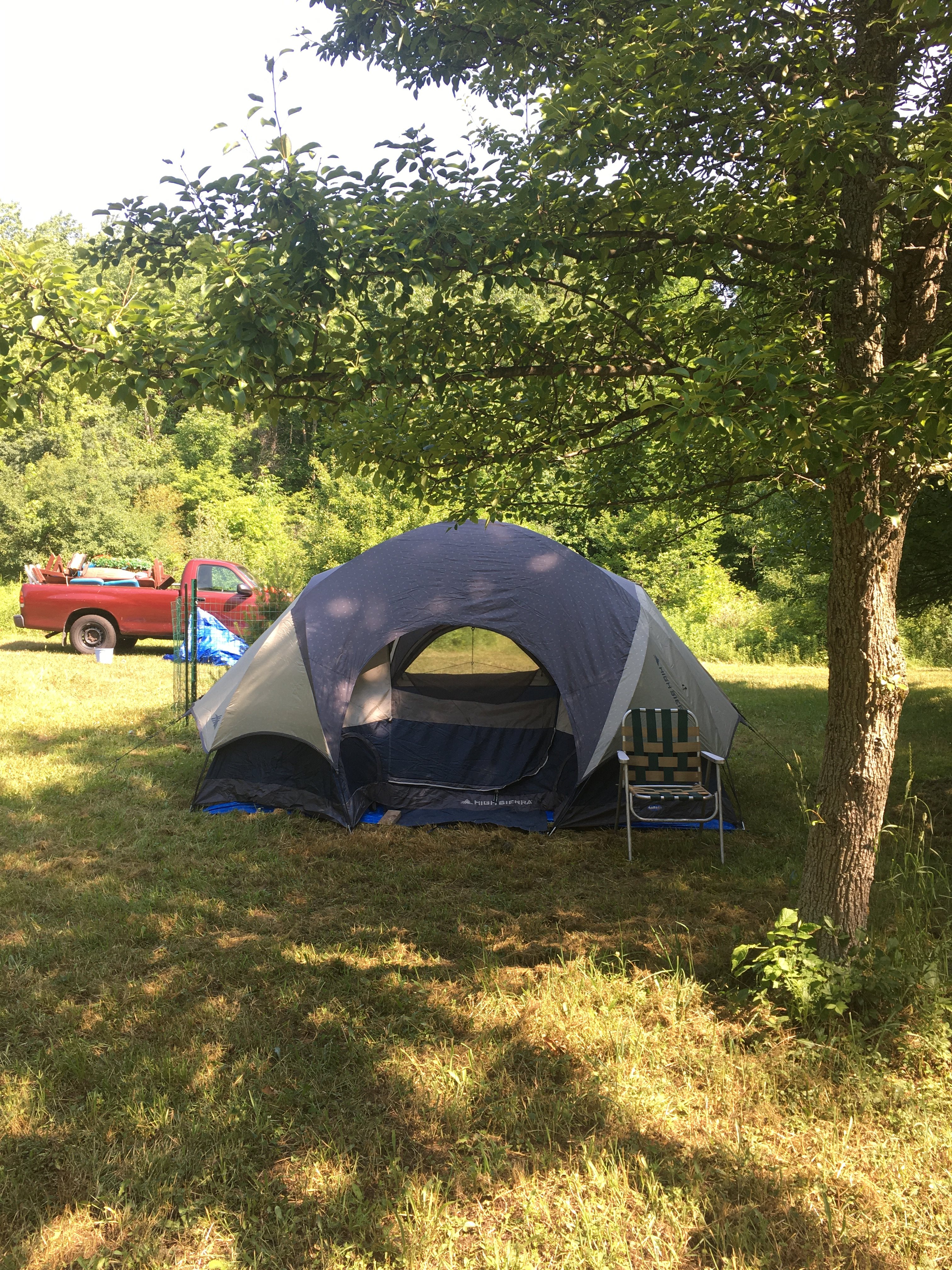 Here is a shady spot for a tent!