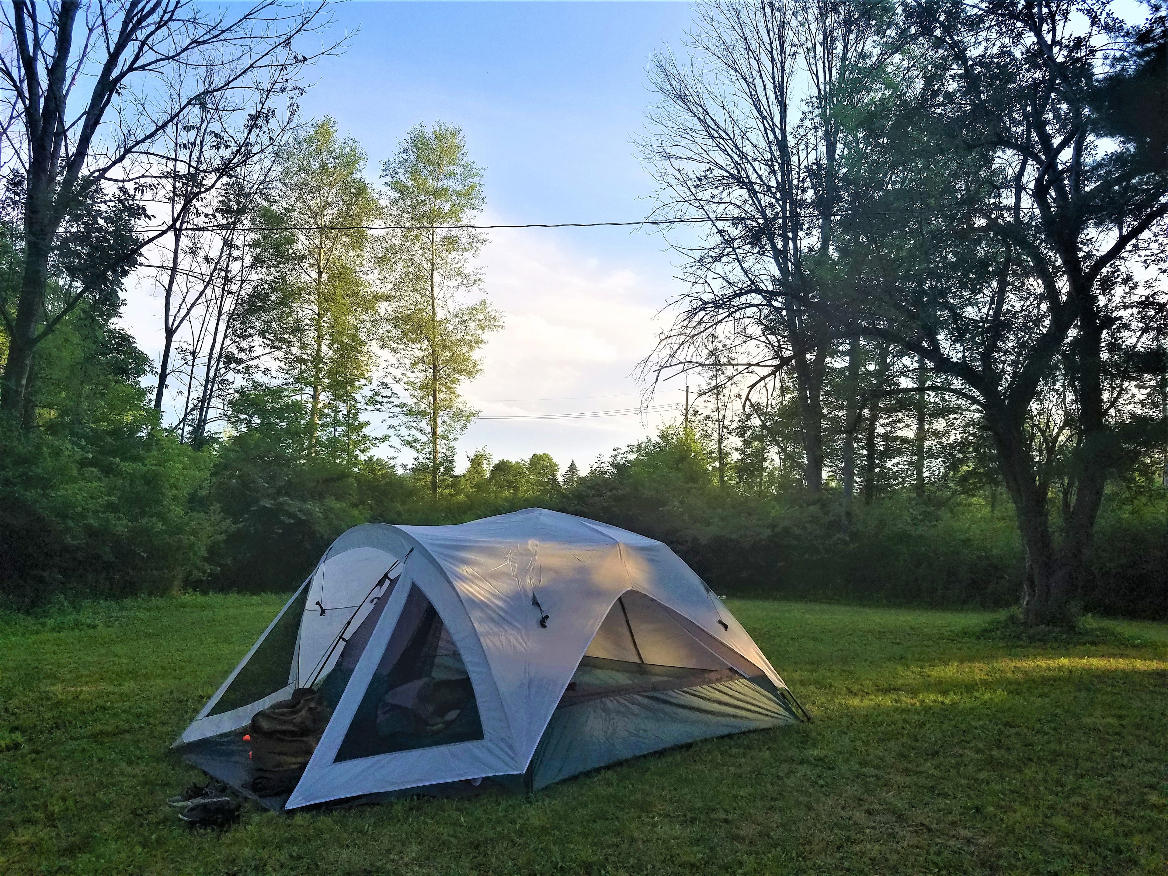 Its a beautiful day on Site 27 in the orchard.
