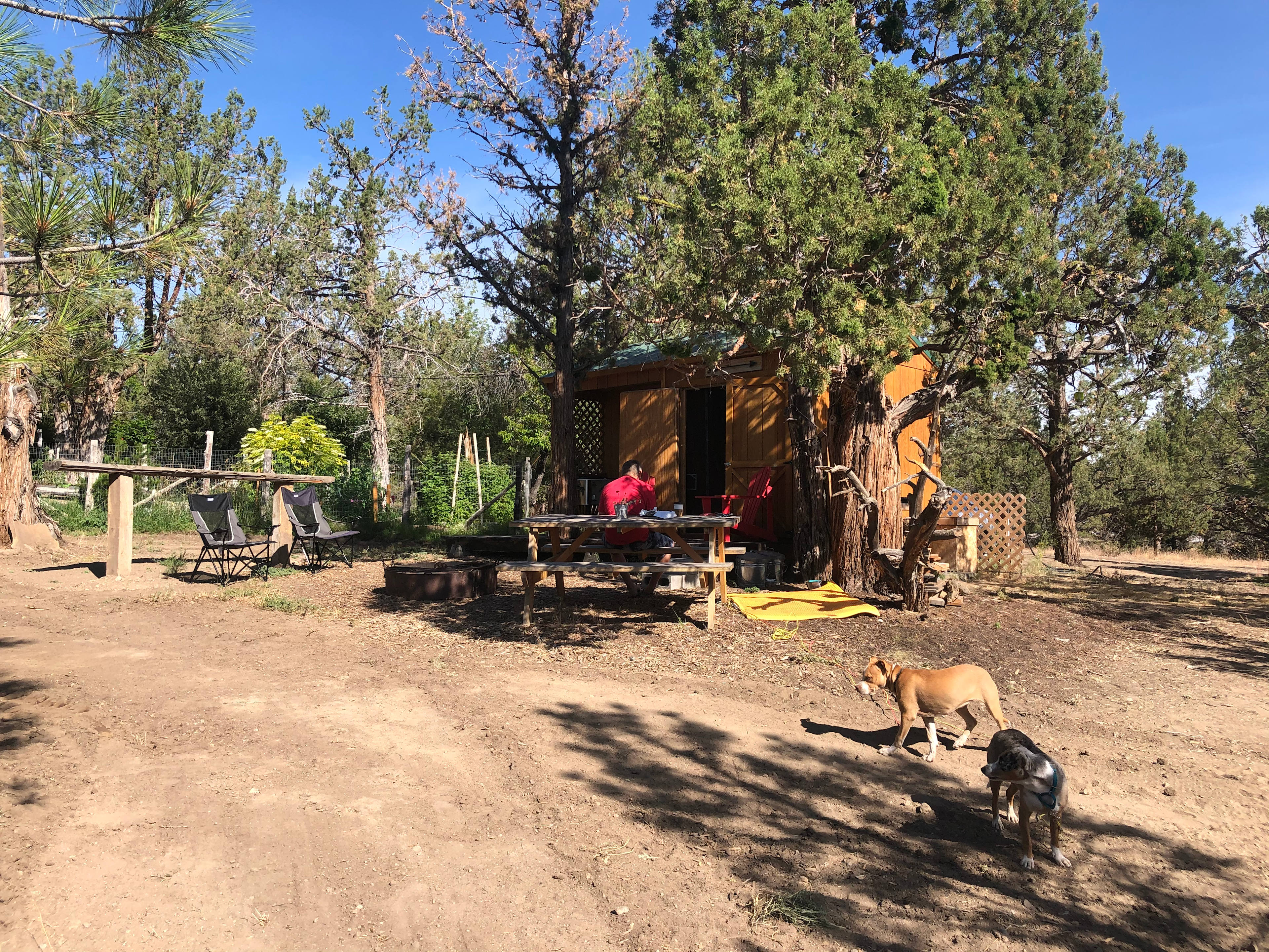 The Honeybee Ranch