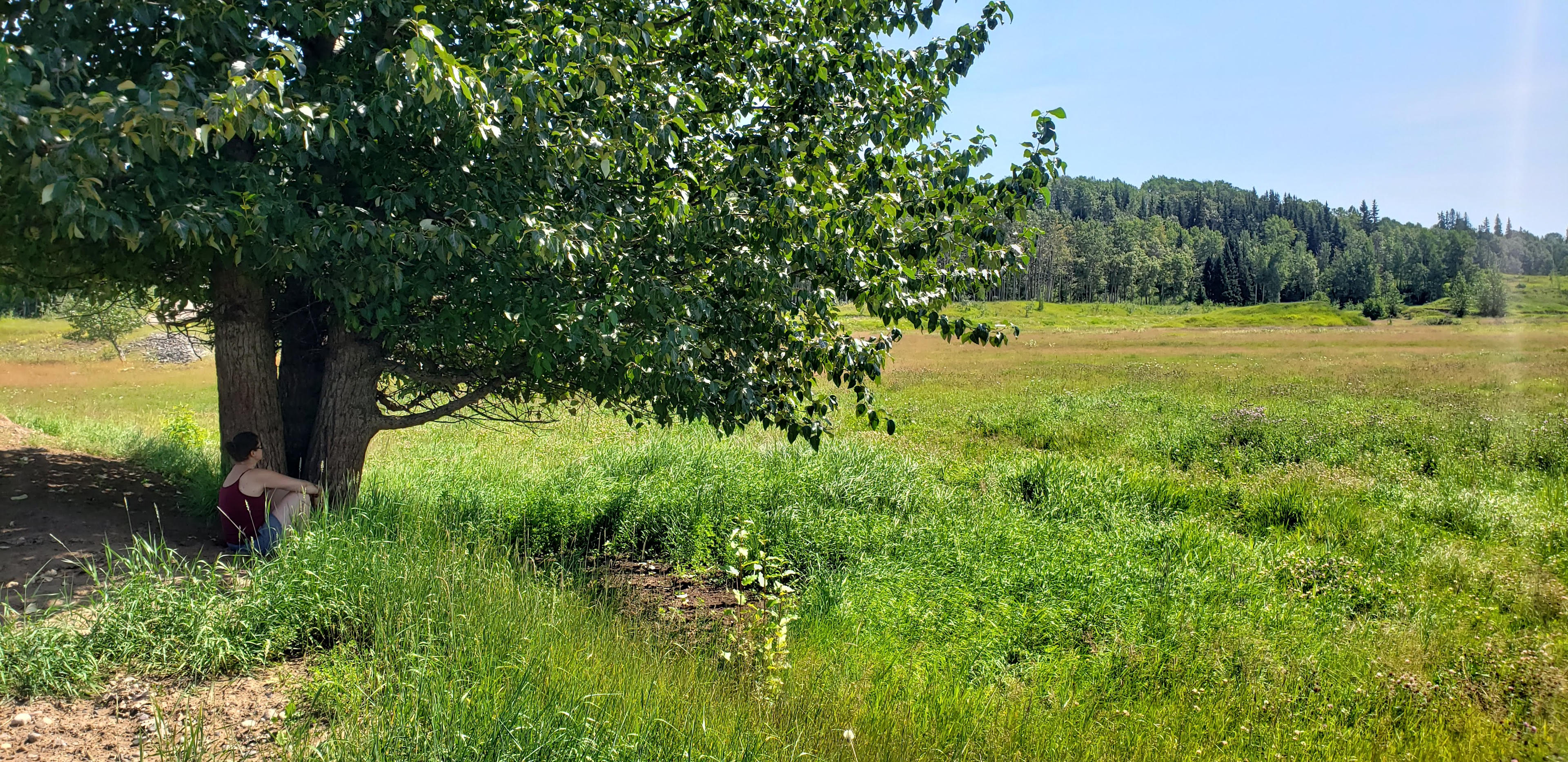A spot on the bulkley River Flat, five minutes walk from the campsite still on the property