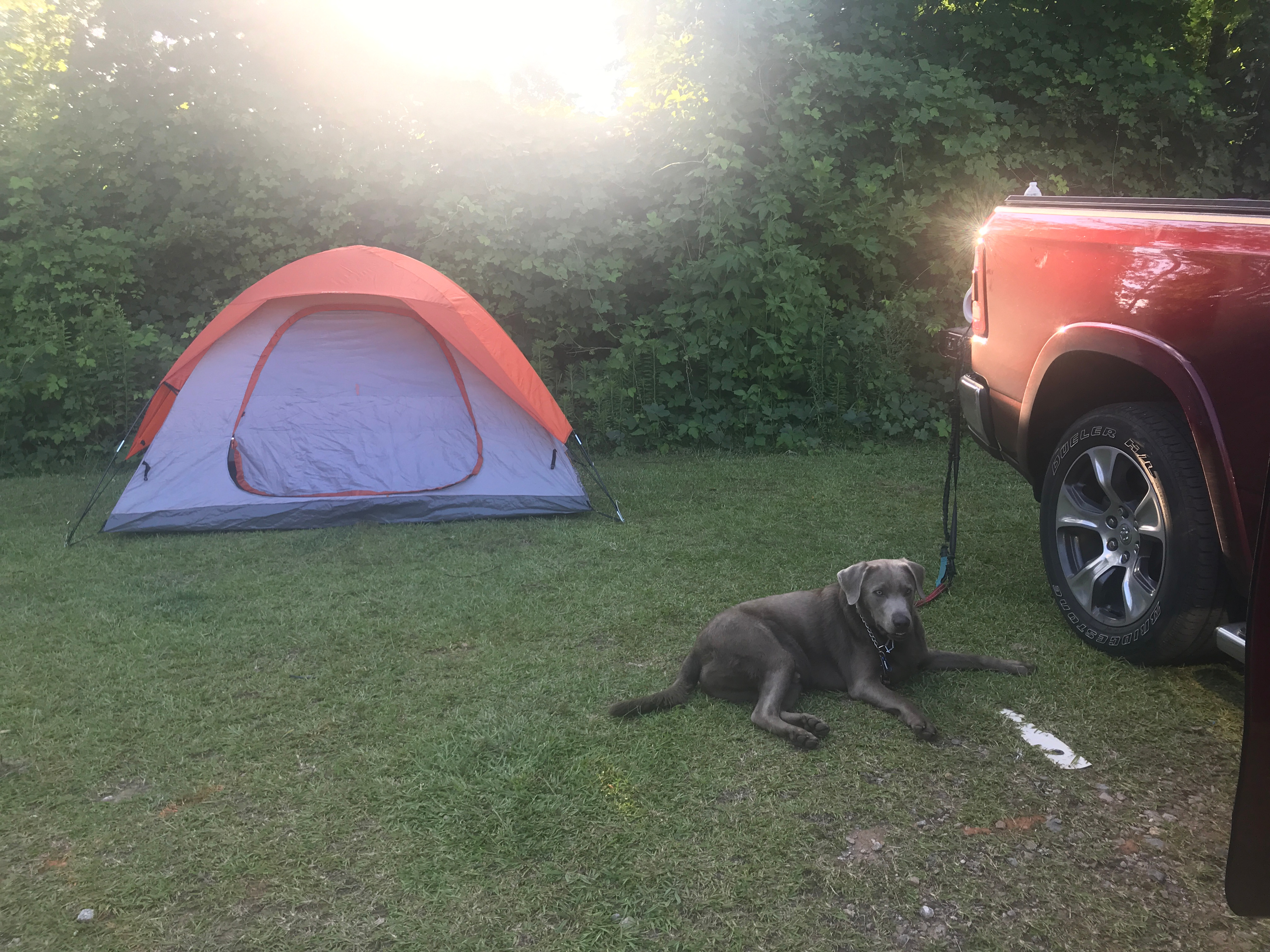 Tiger Drive In Theater