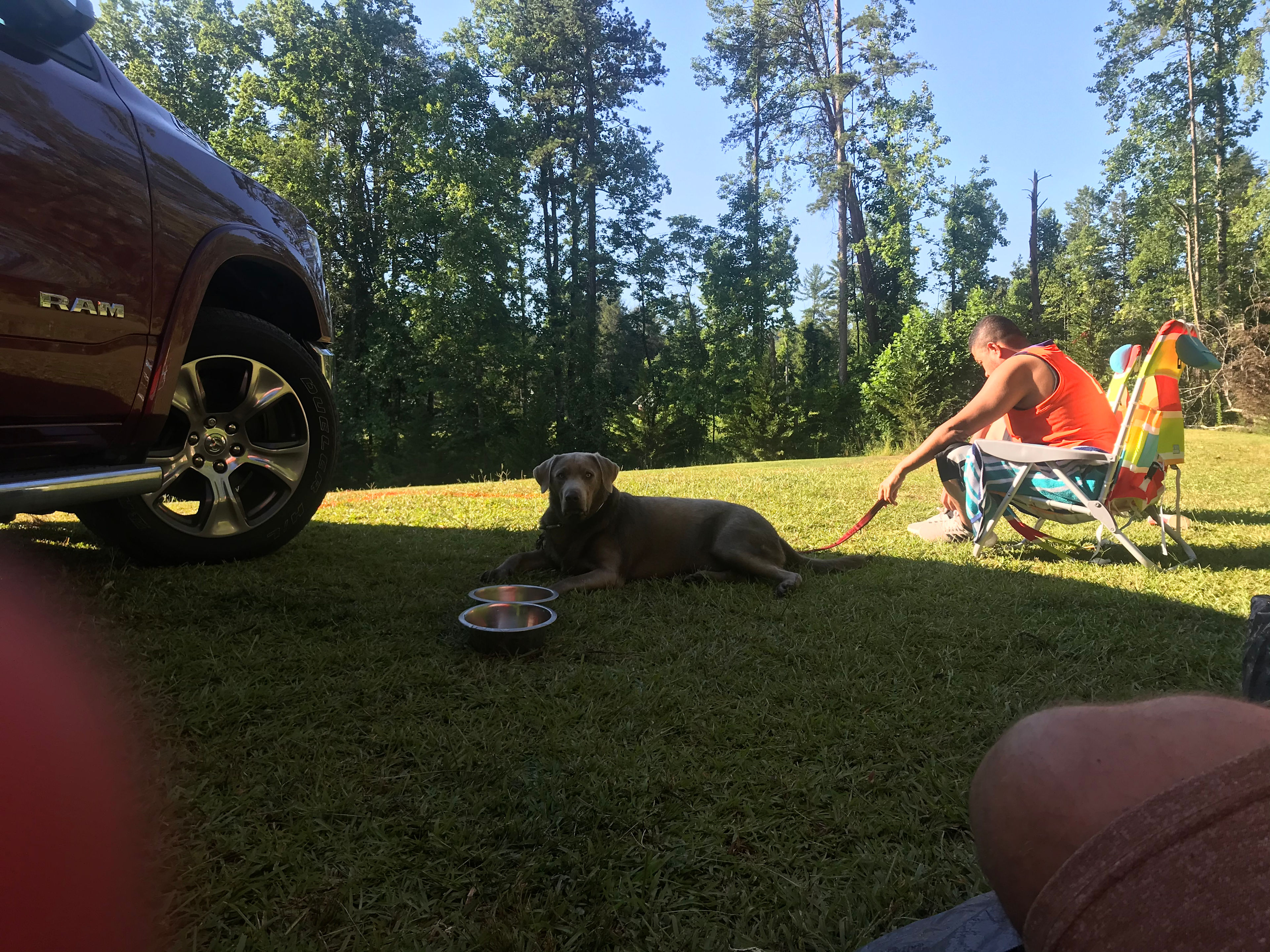 Tiger Drive In Theater