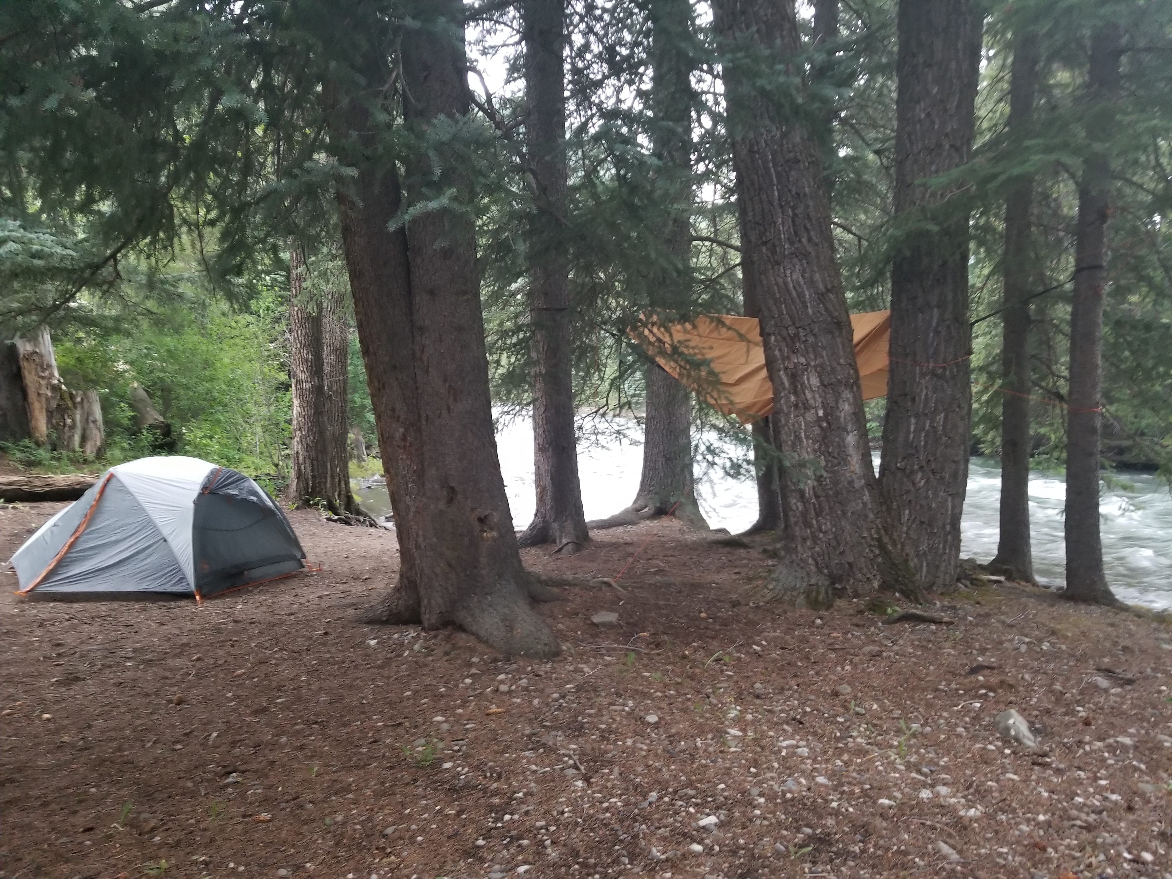 Plenty of flat ground for tents.
