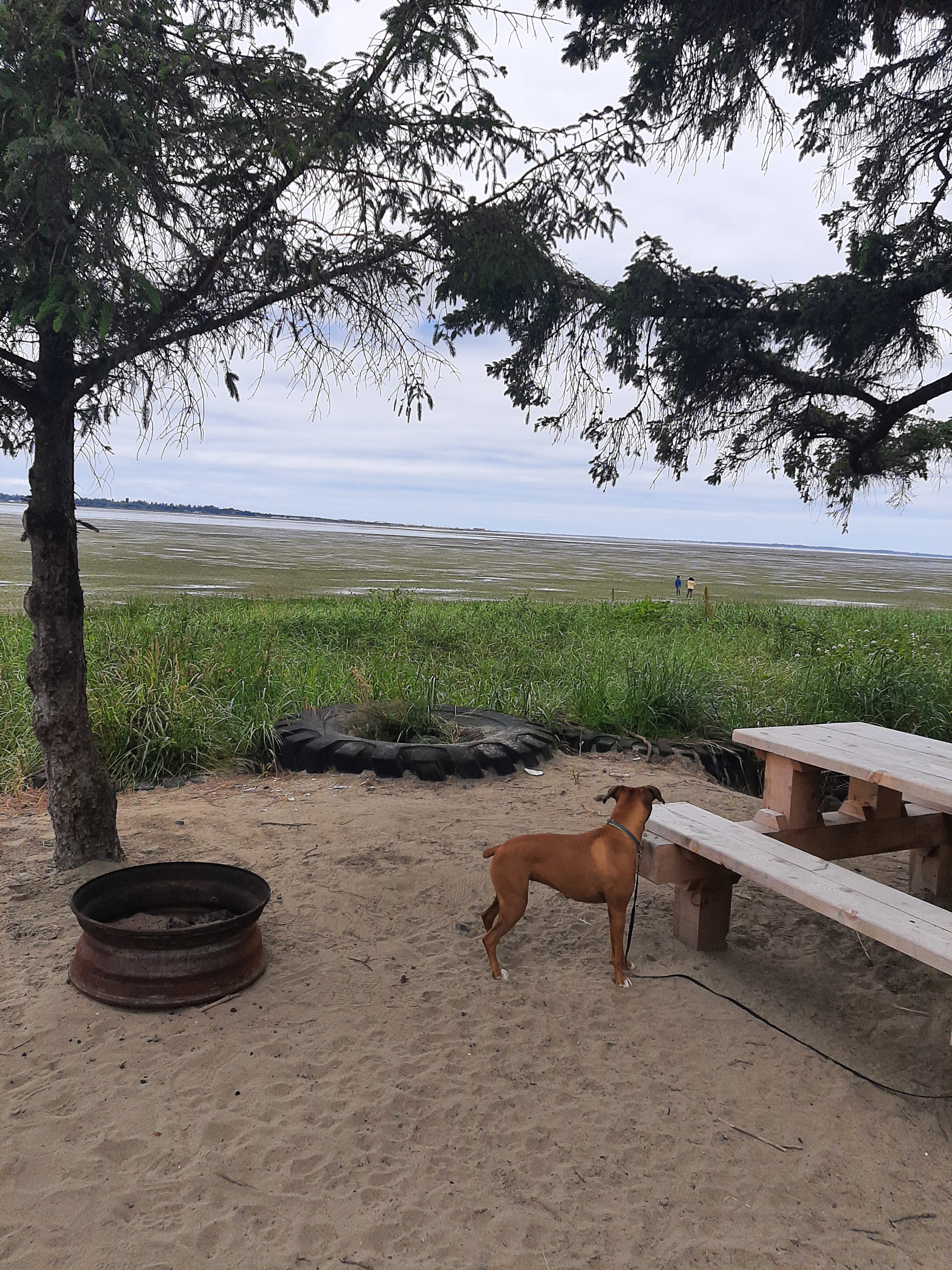 Unique Bay Front Camping - RV ONLY