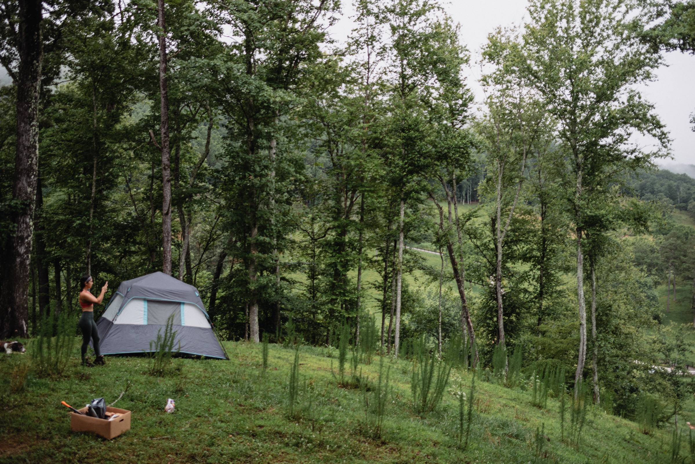 A wider idea of one of the tent sites.